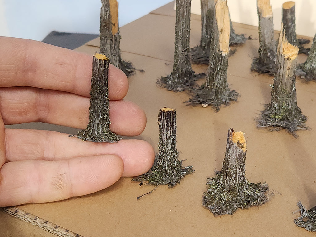 Stumps, 3/8ths Fresh-Cut, Three