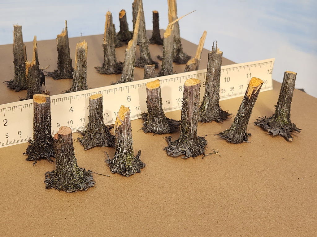 Stumps, 3/8ths Fresh-Cut, Three