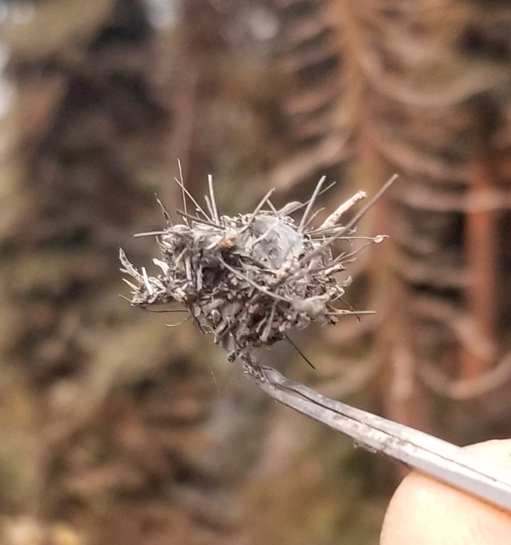 Model HO Scale Bird's Nest Medium with Tweezers and finger