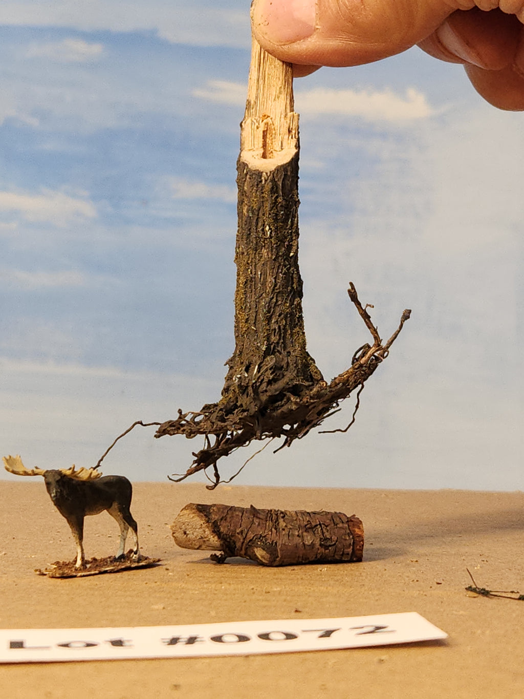 Stump, 1/2 inch, sloped, spiked, saw-cut, fresh look, L-0072