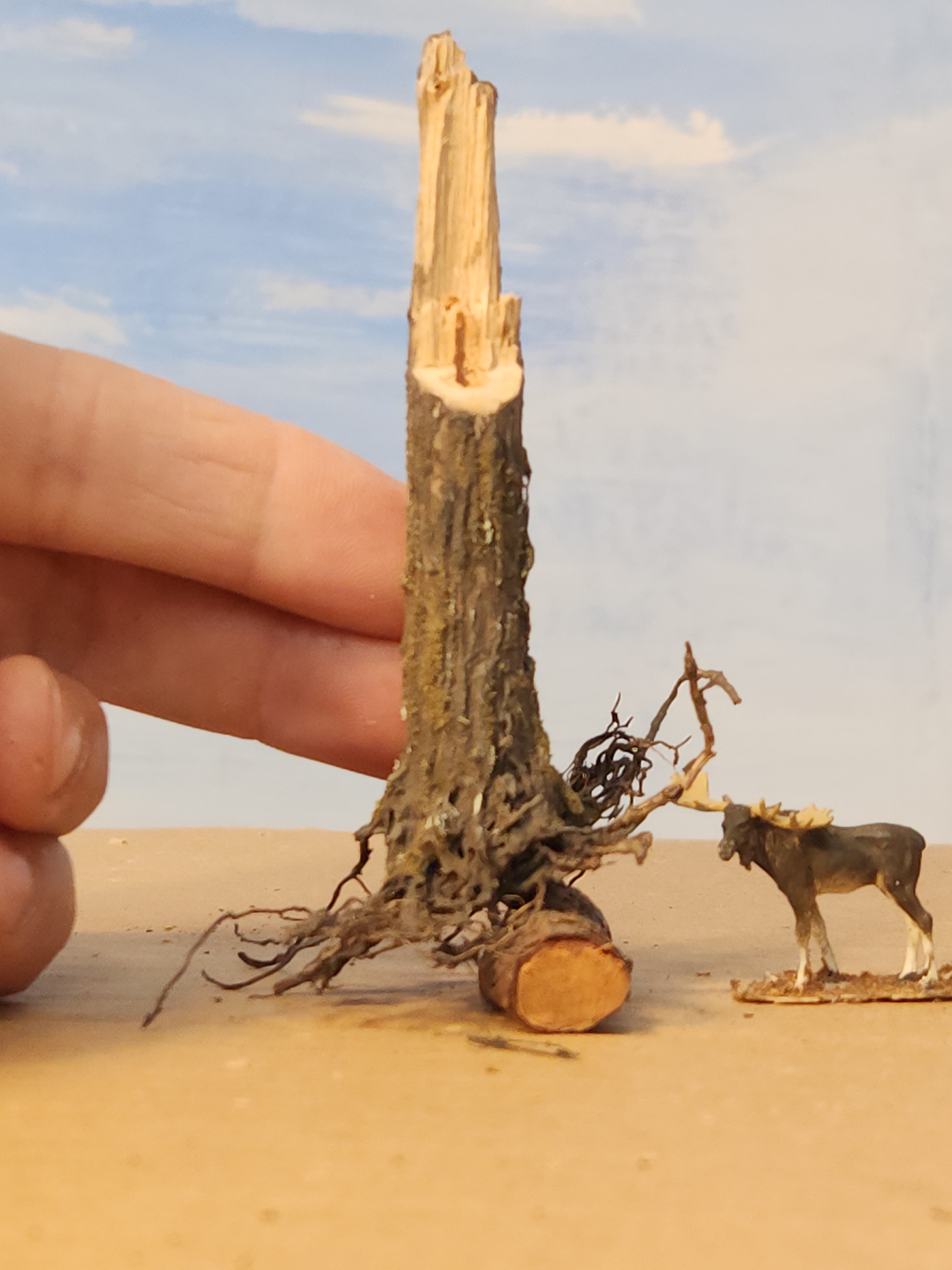 Stump, 1/2 inch, sloped, spiked, saw-cut, fresh look, L-0072