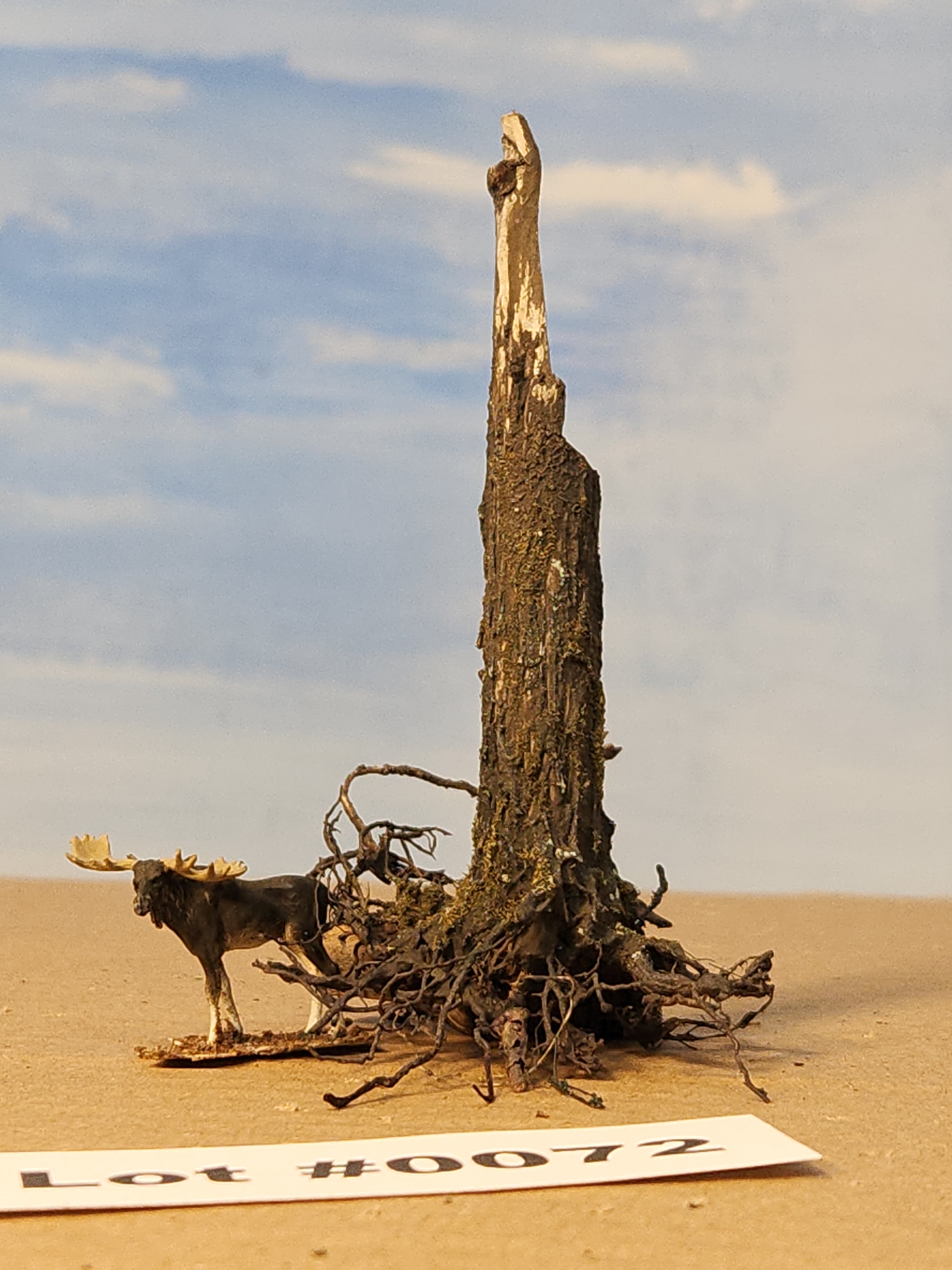 Stump, 1/2 inch, sloped, spiked, saw-cut, fresh look, L-0072