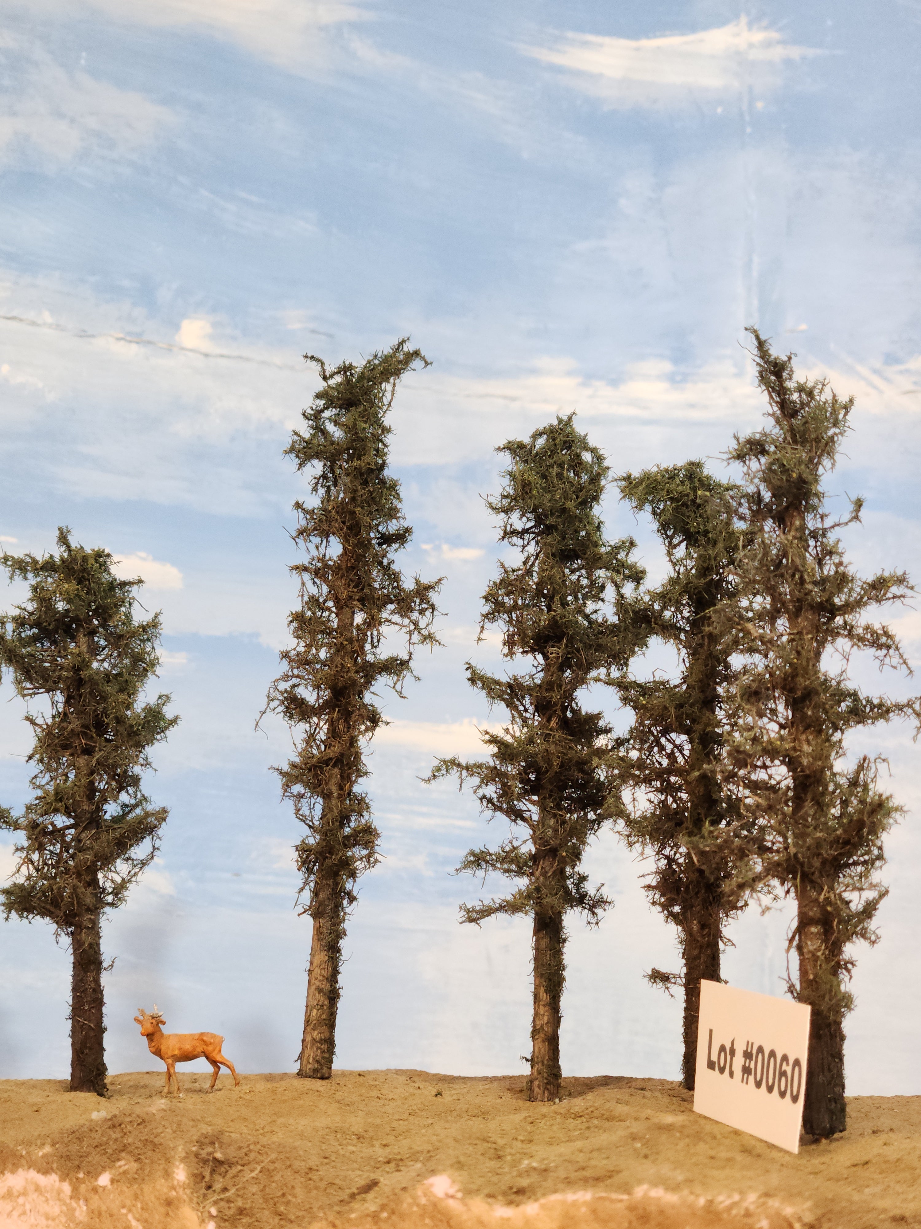 L0060 Short Fluffy Pines, Five