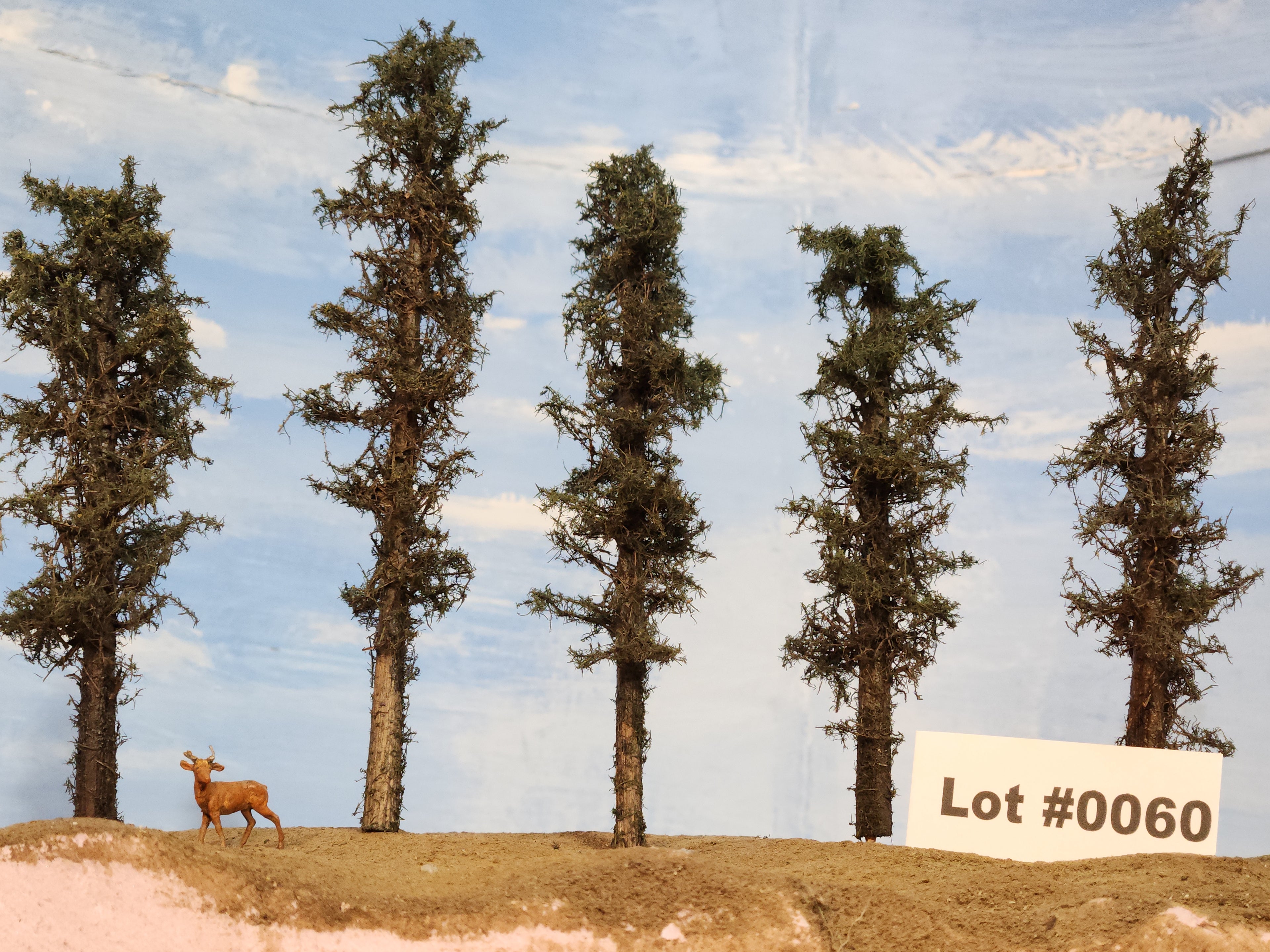 L0060 Short Fluffy Pines, Five