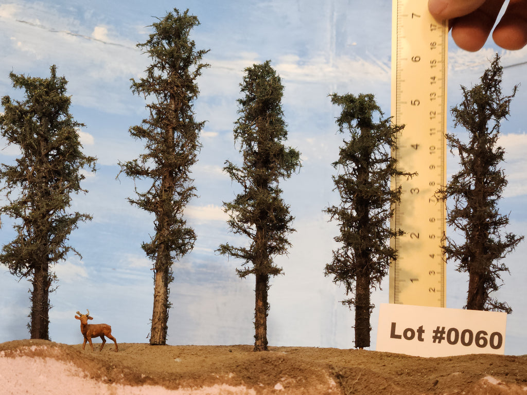 L0060 Short Fluffy Pines, Five