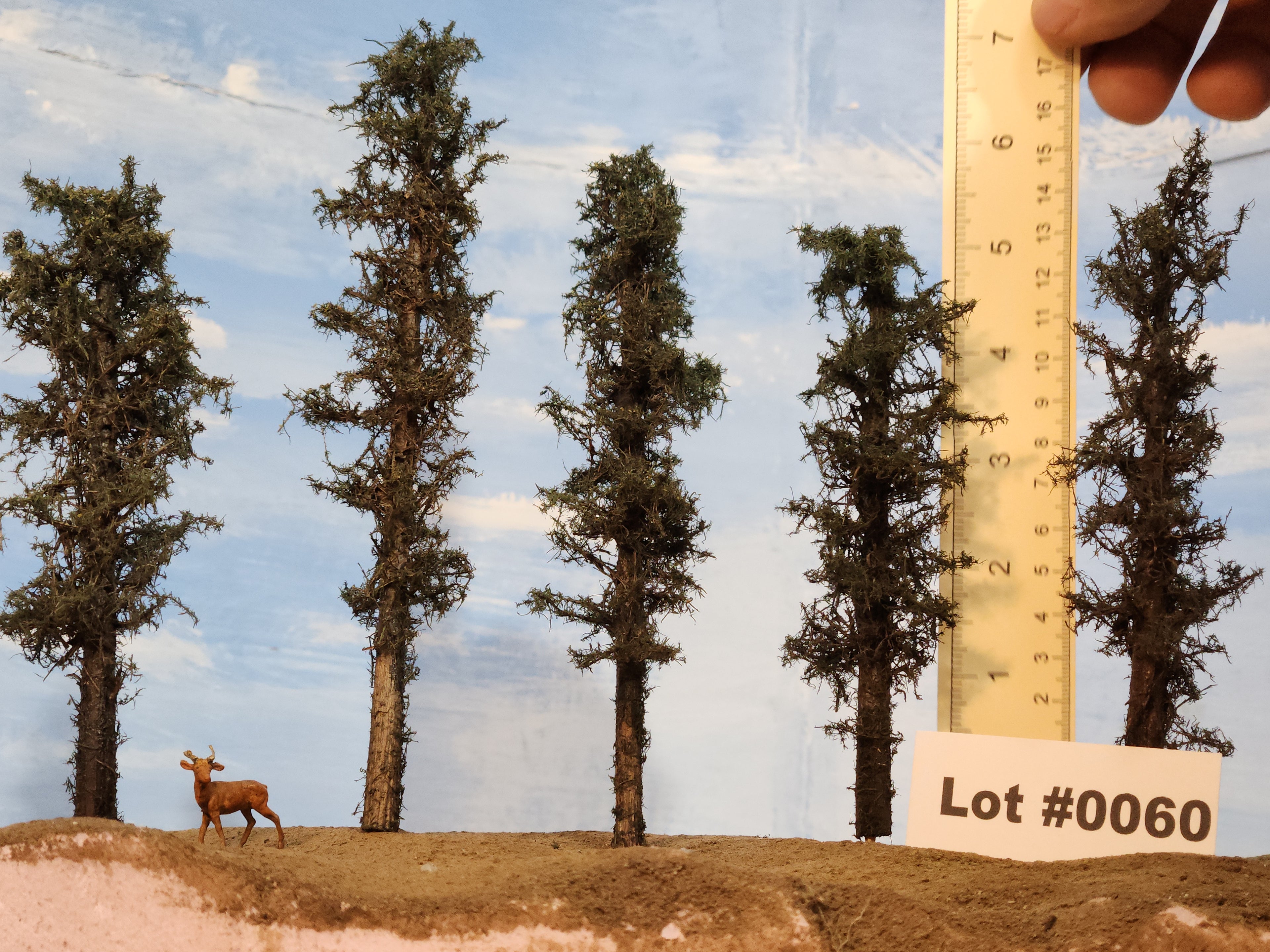 L0060 Short Fluffy Pines, Five