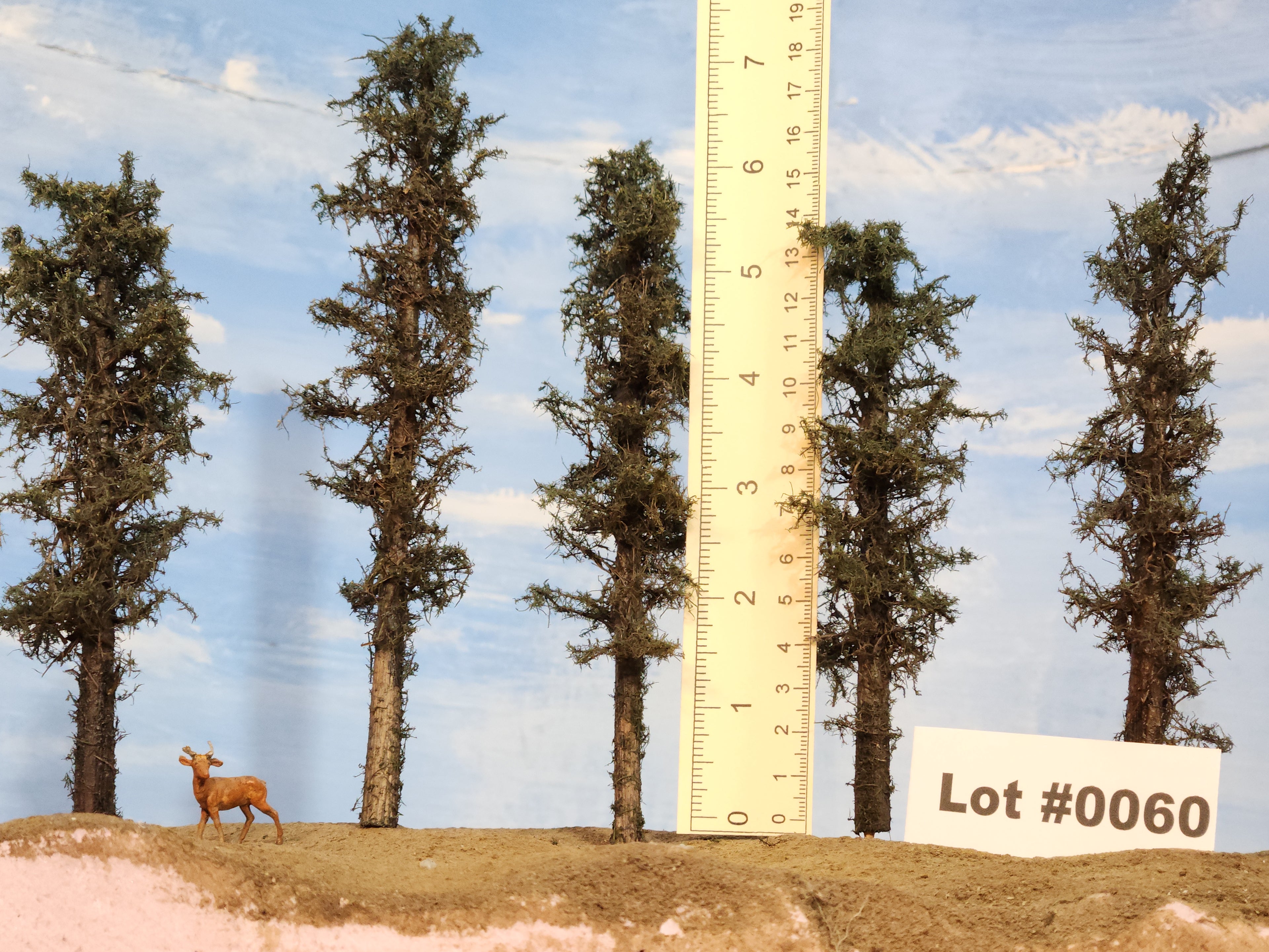 L0060 Short Fluffy Pines, Five