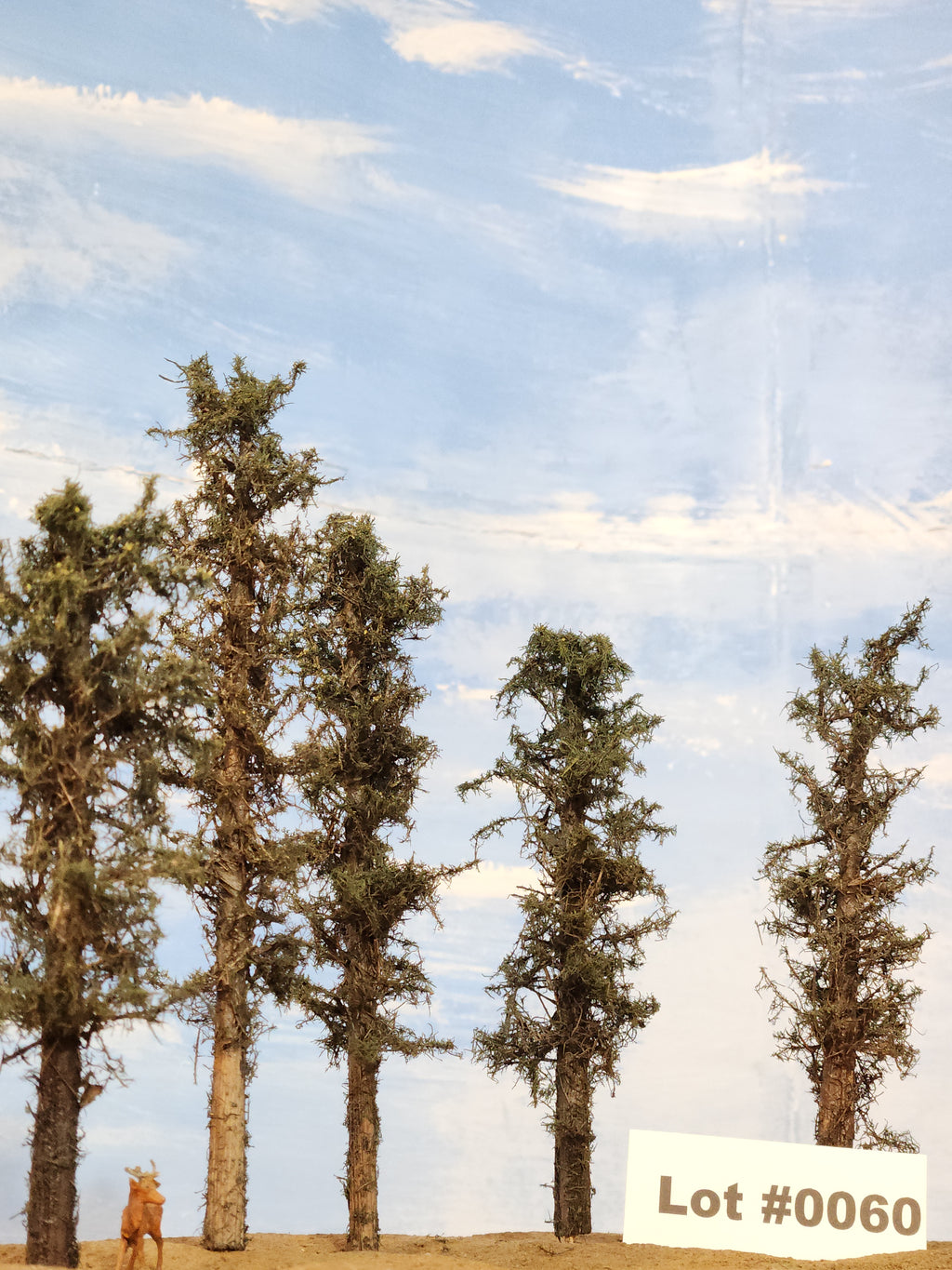 L0060 Short Fluffy Pines, Five