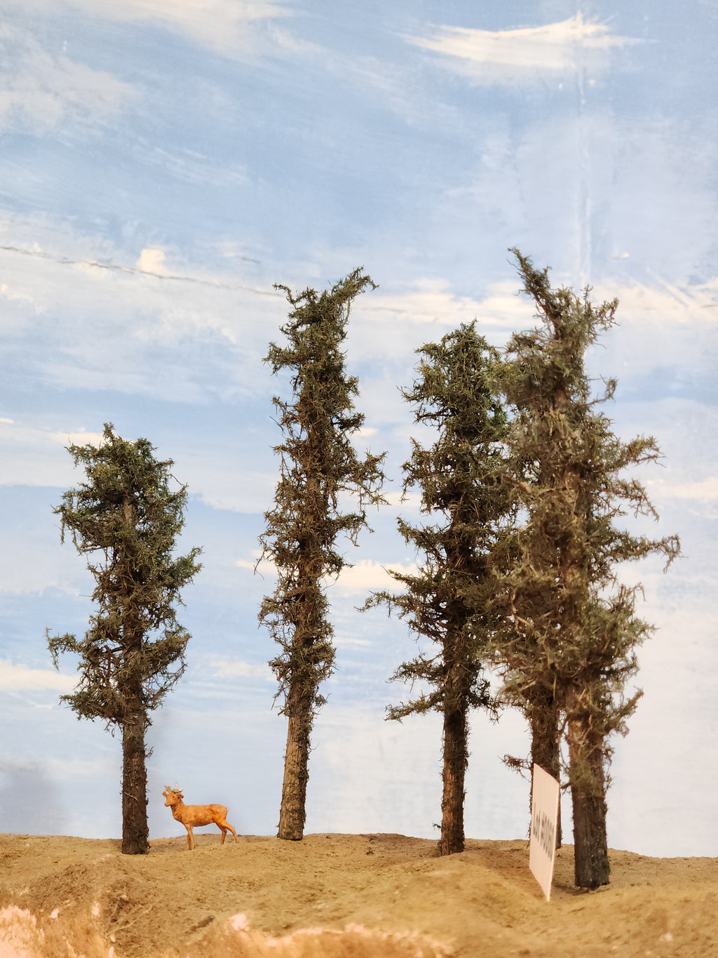 L0060 Short Fluffy Pines, Five