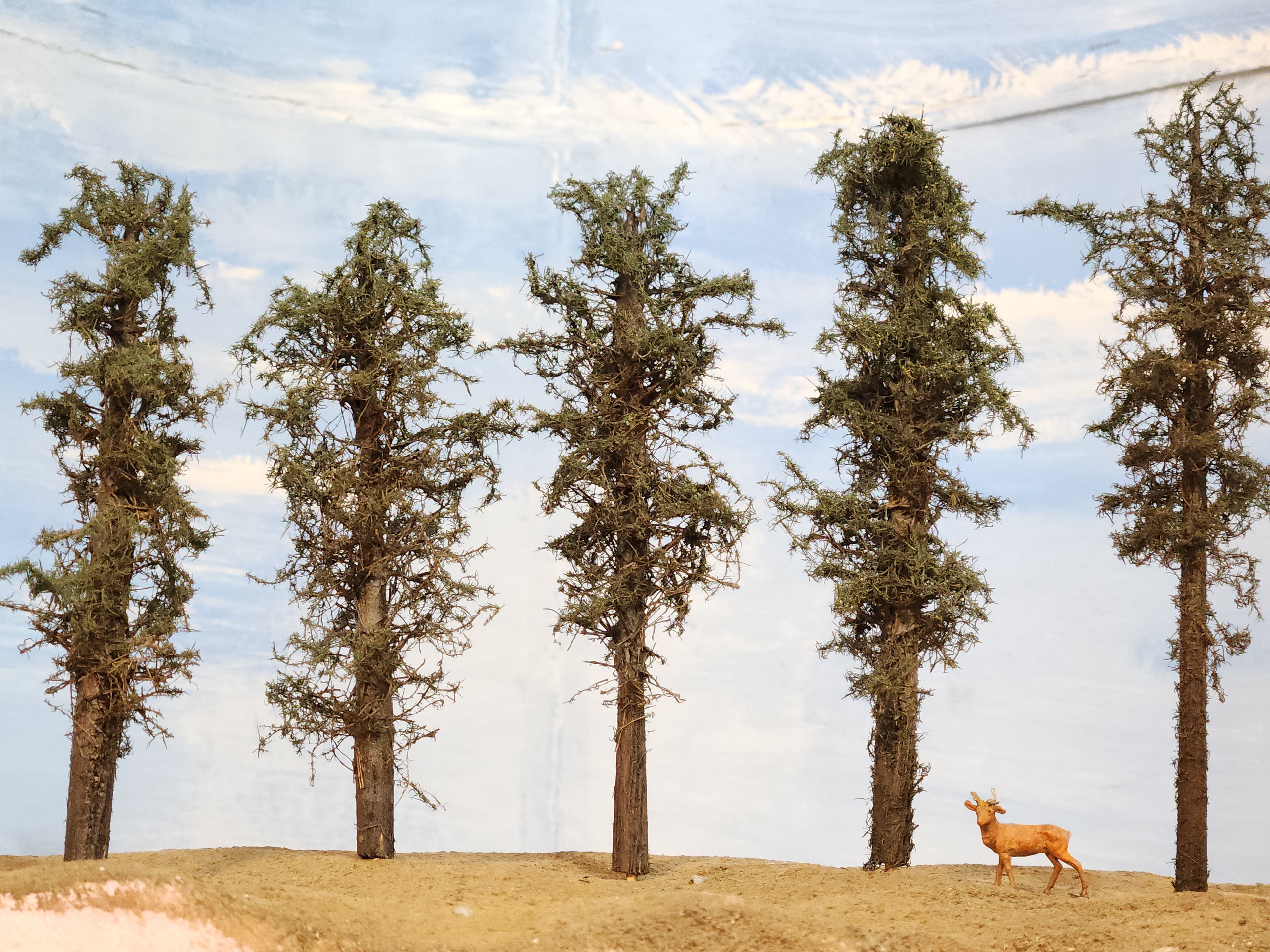 L0061 Short Fluffy Pines, Five