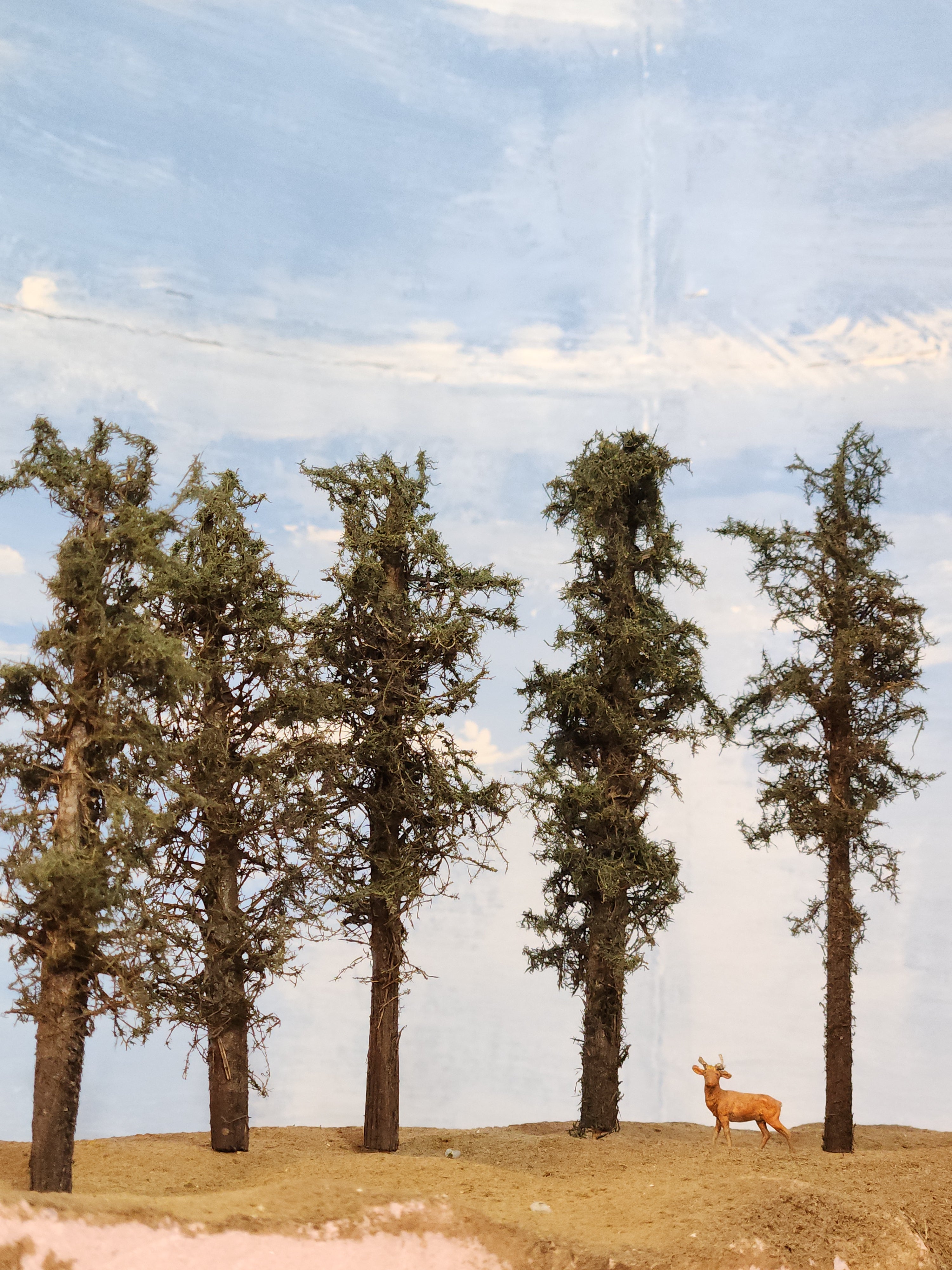 L0061 Short Fluffy Pines, Five