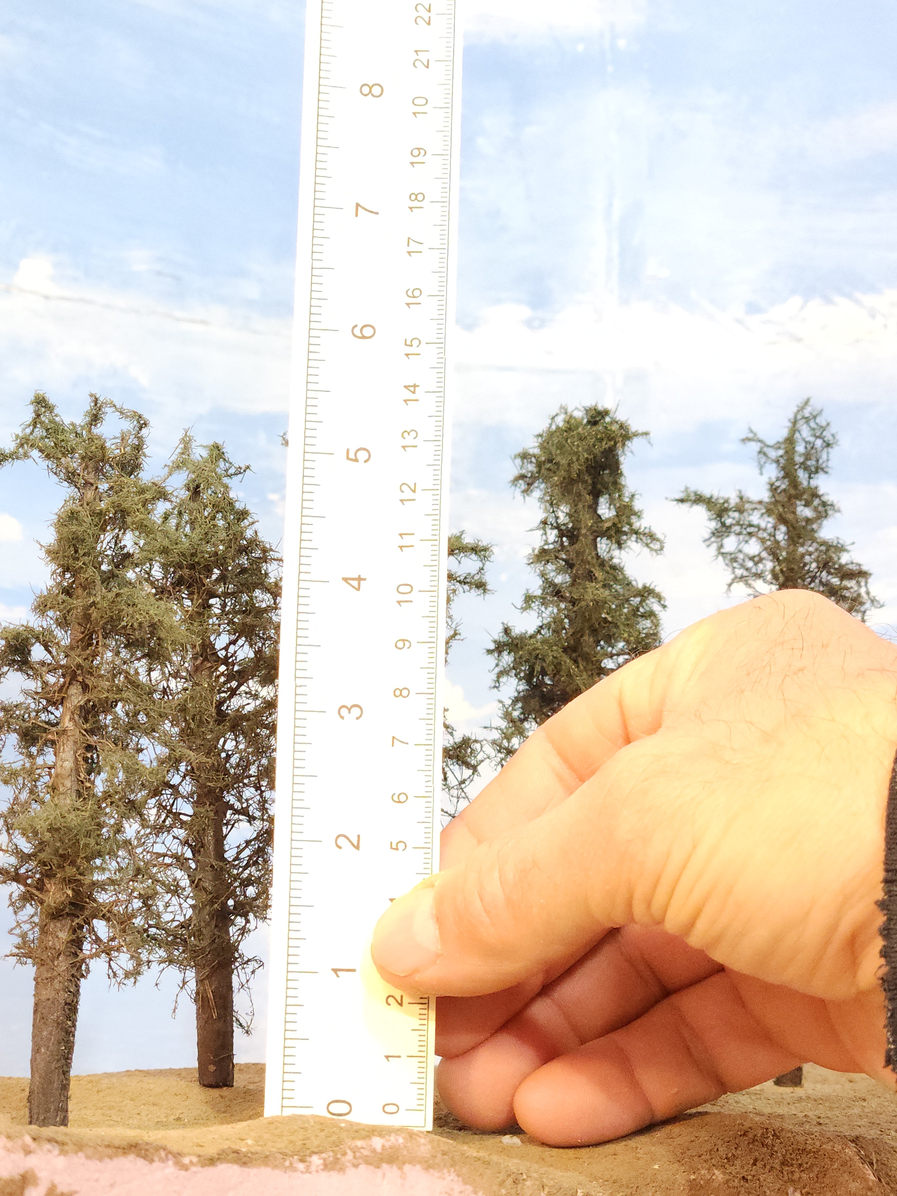 L0061 Short Fluffy Pines, Five