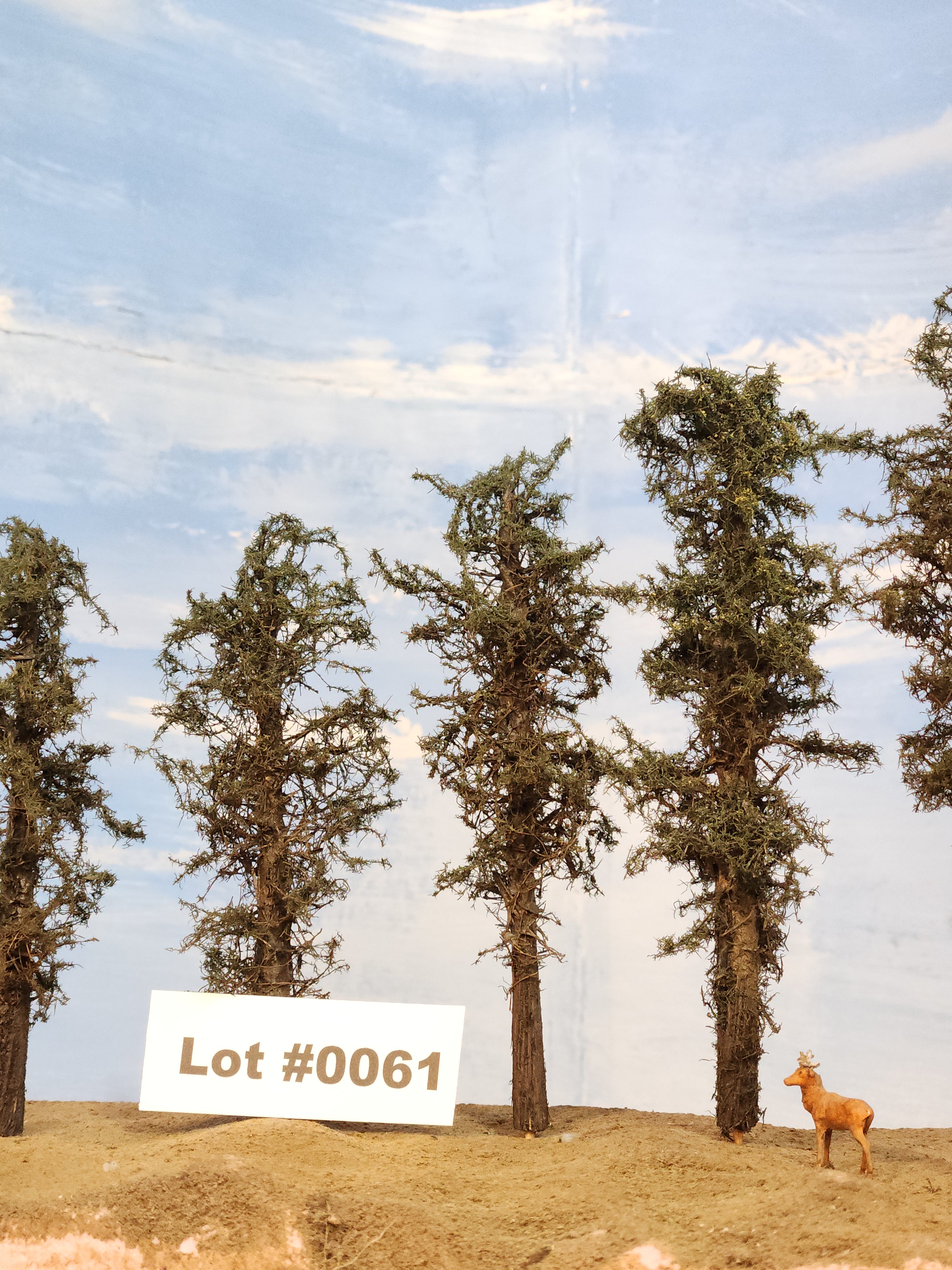 L0061 Short Fluffy Pines, Five