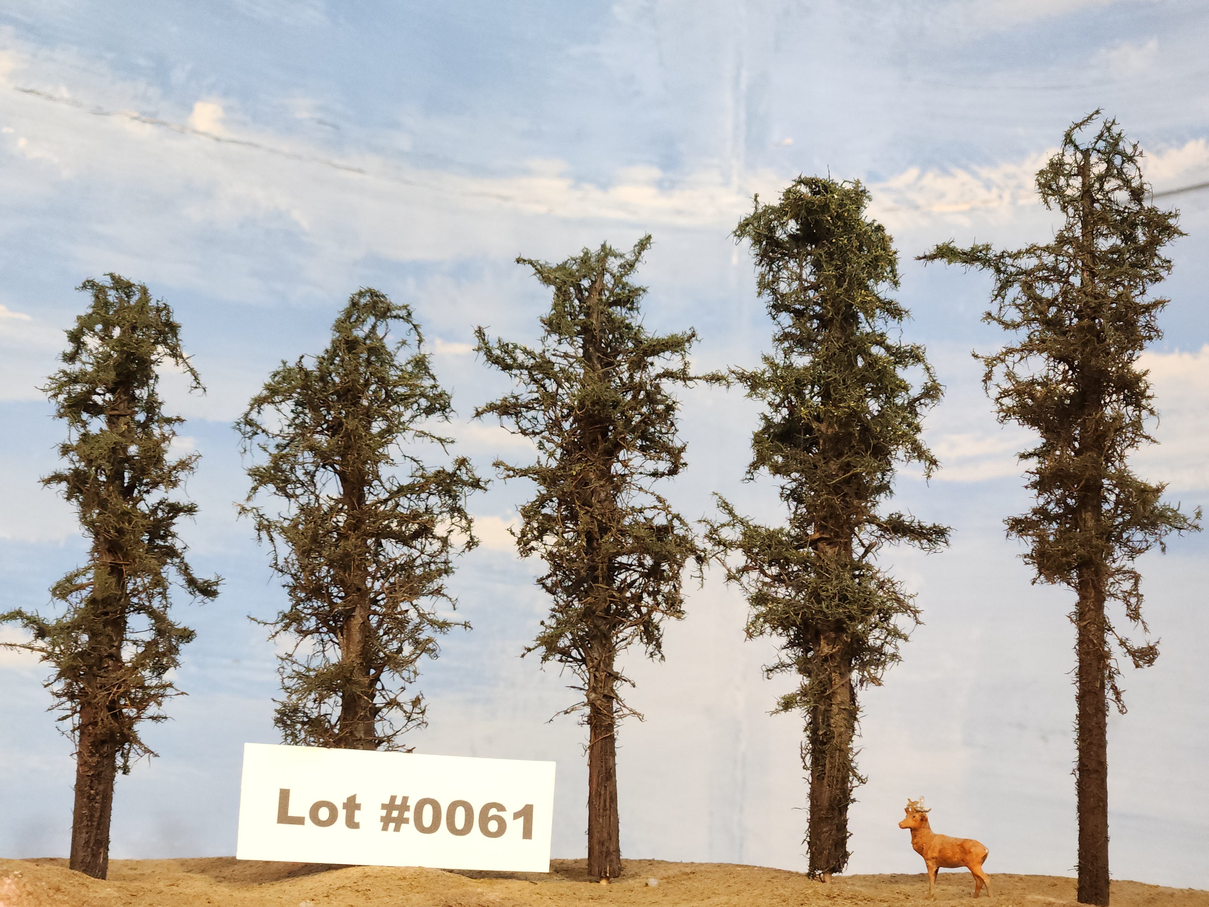 L0061 Short Fluffy Pines, Five