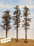 L0063 Three Super Pines 8"-10"