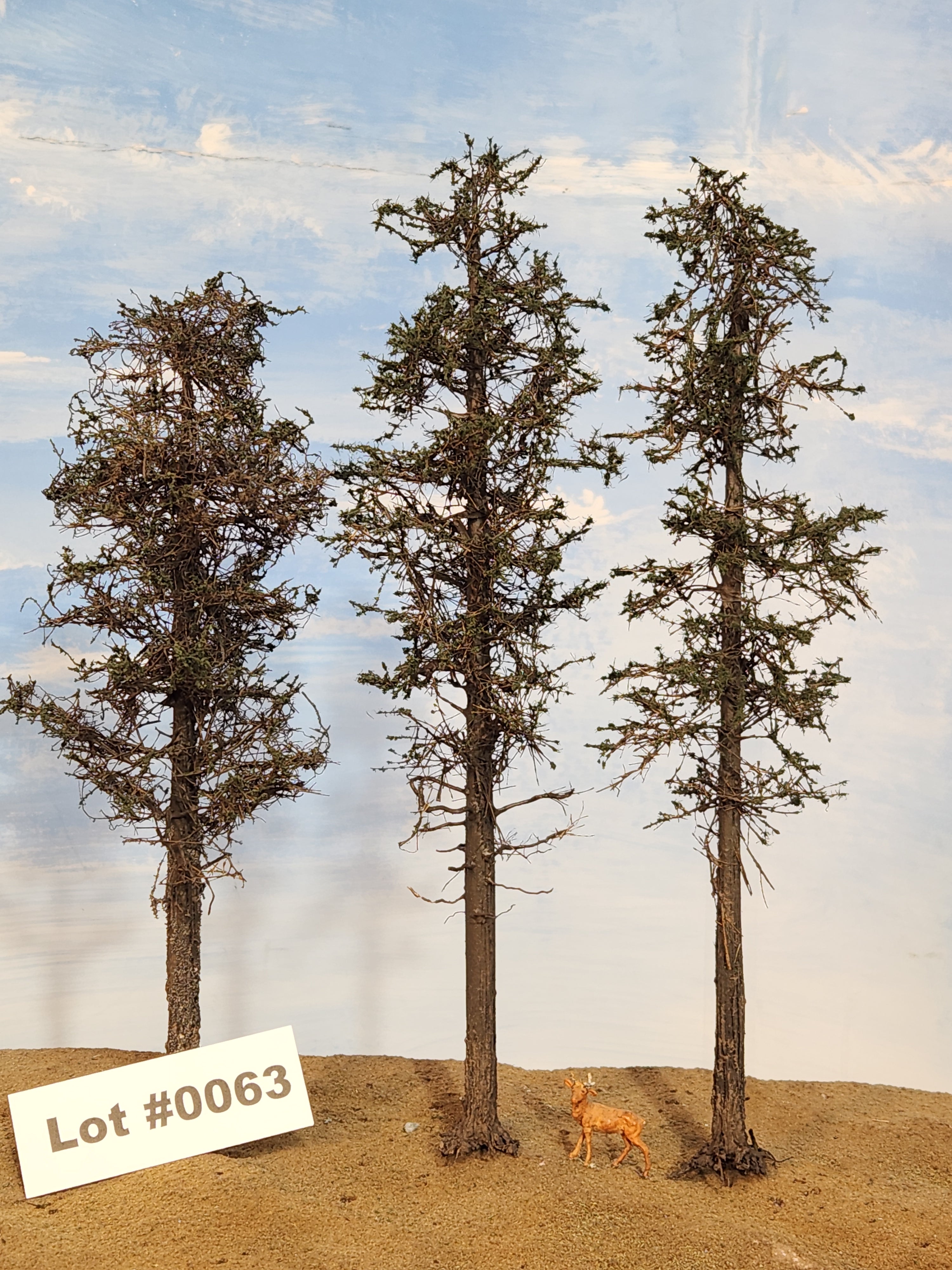 L0063 Three Super Pines 8"-10"