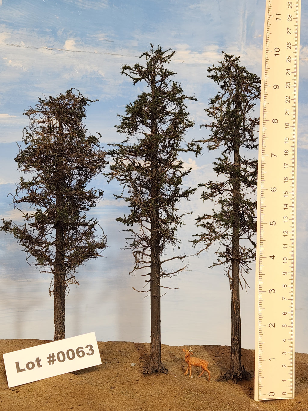 L0063 Three Super Pines 8"-10"
