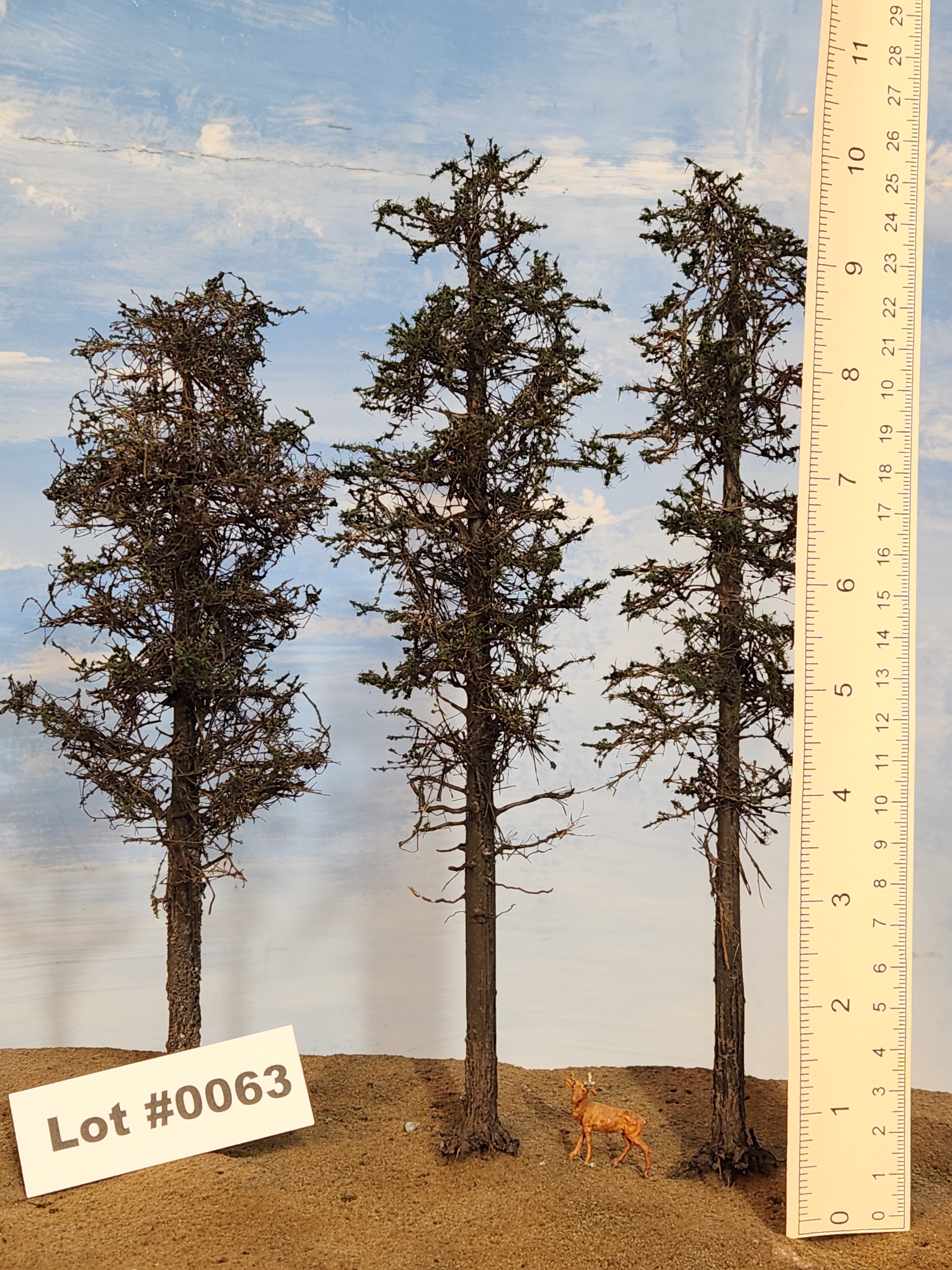 L0063 Three Super Pines 8"-10"