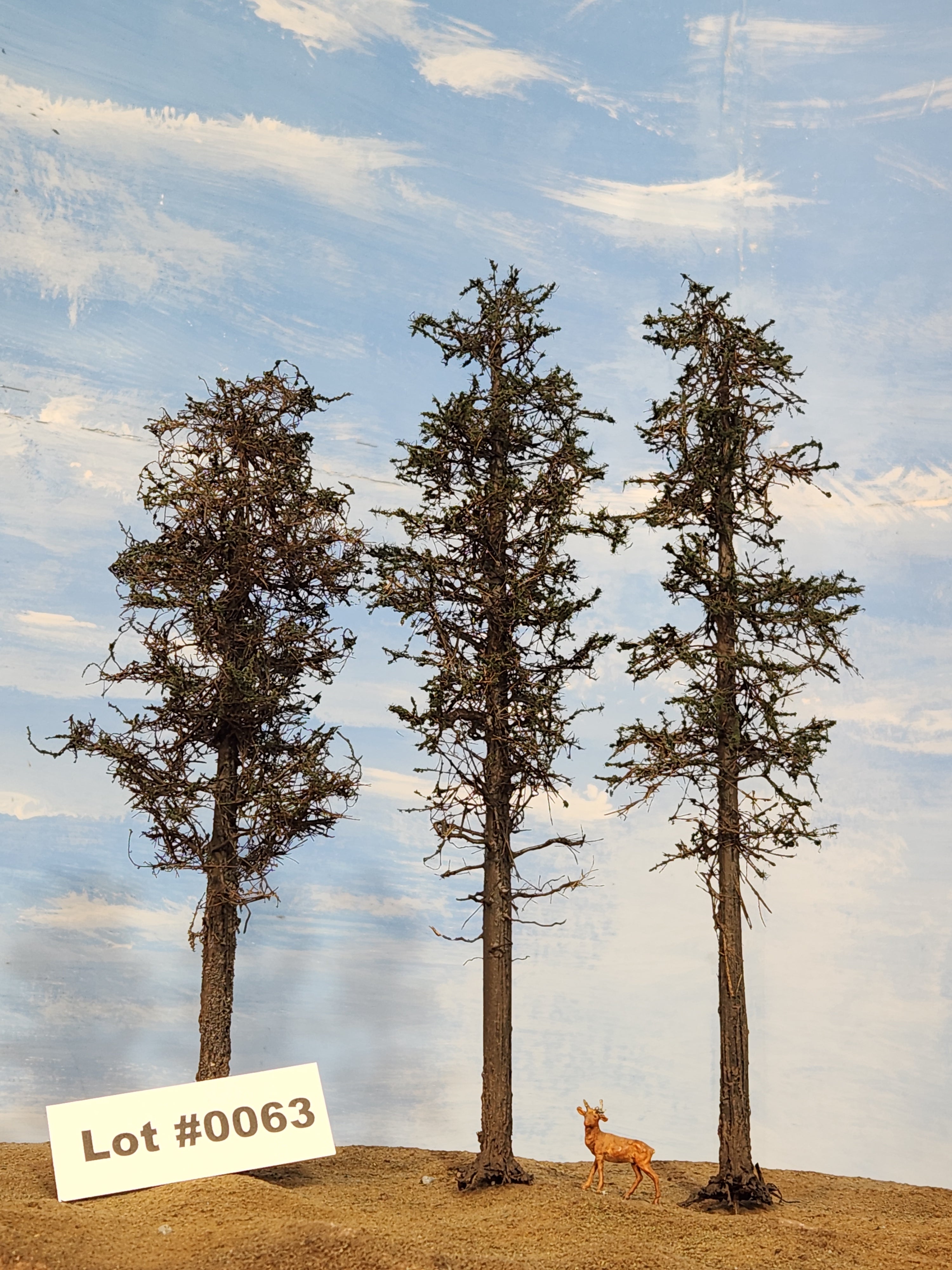 L0063 Three Super Pines 8"-10"