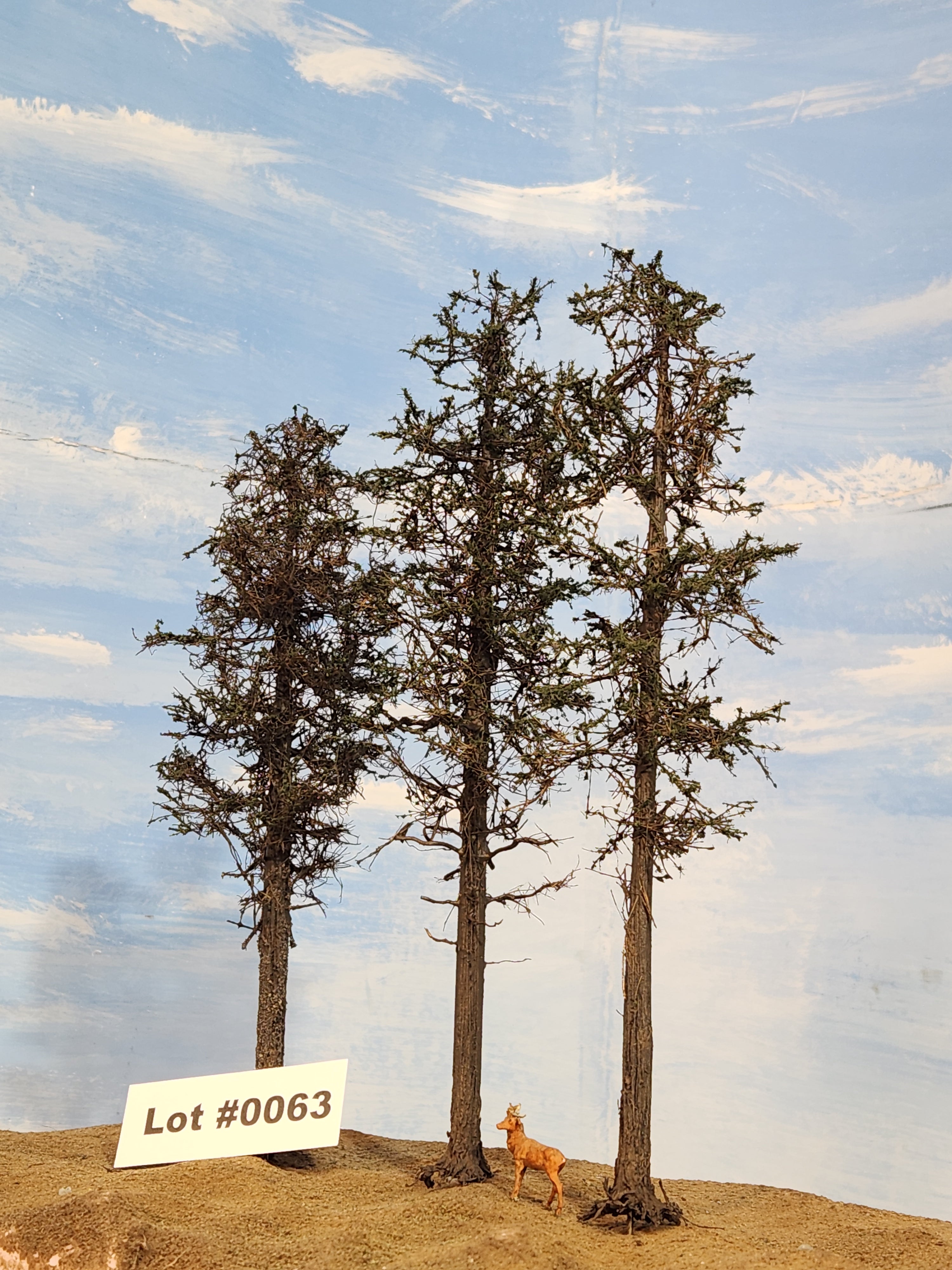 L0063 Three Super Pines 8"-10"