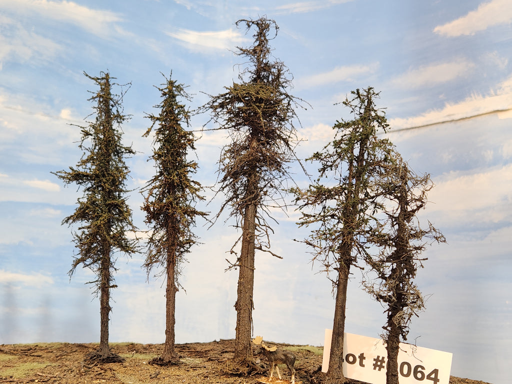 L0064 Five Variable Style Firs & Pines