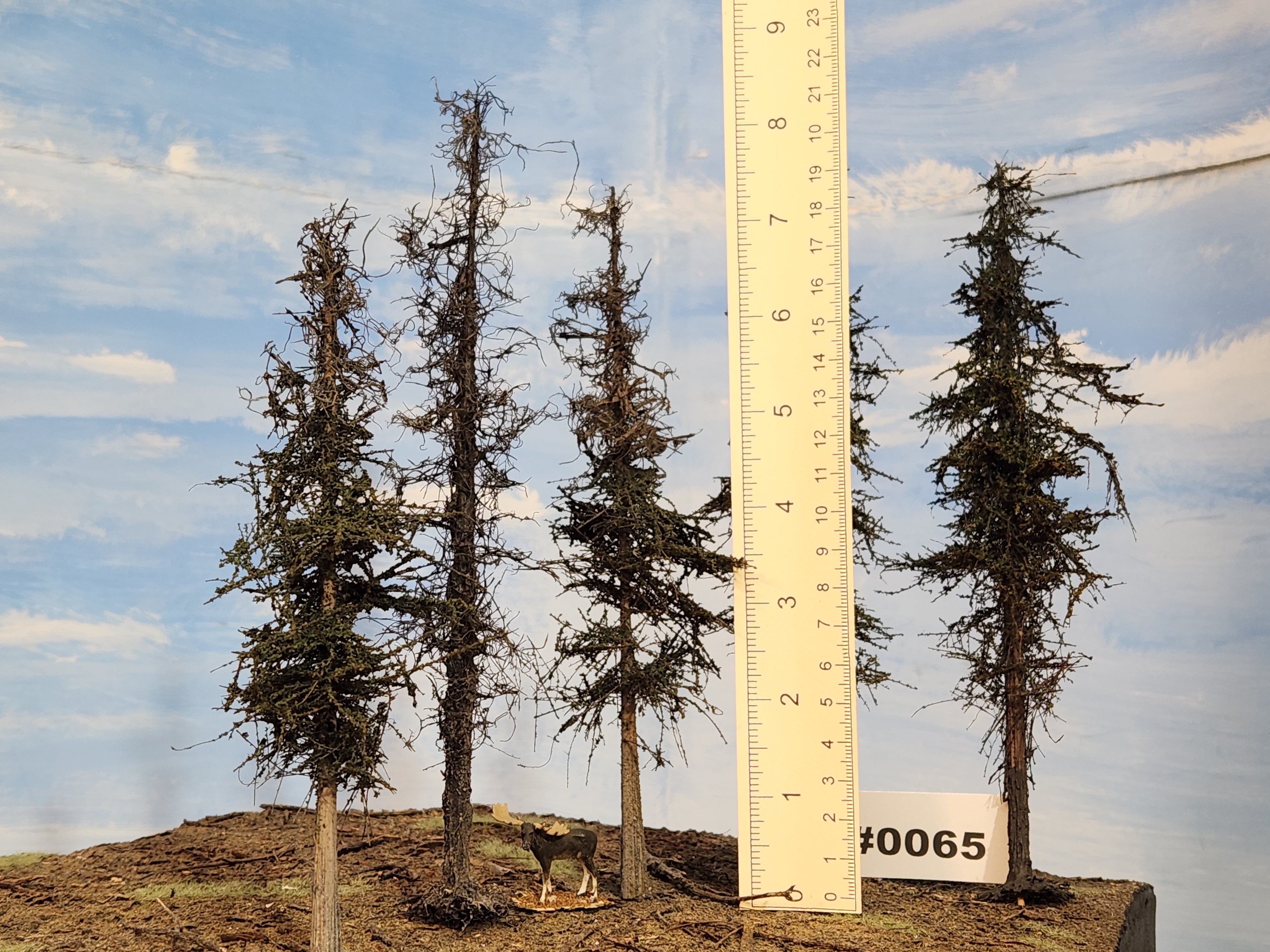 L0065 Dead & Partial Dead Firs & Pines Mix 6"-8"