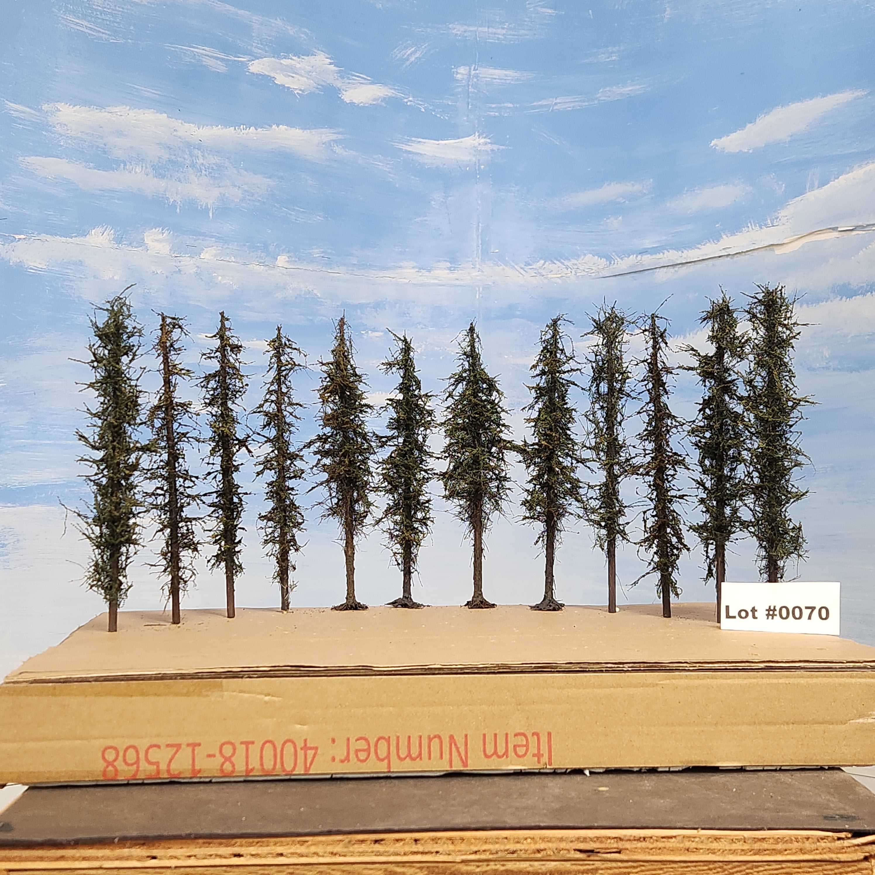Pines, 8 inches, one dozen, L-0070
