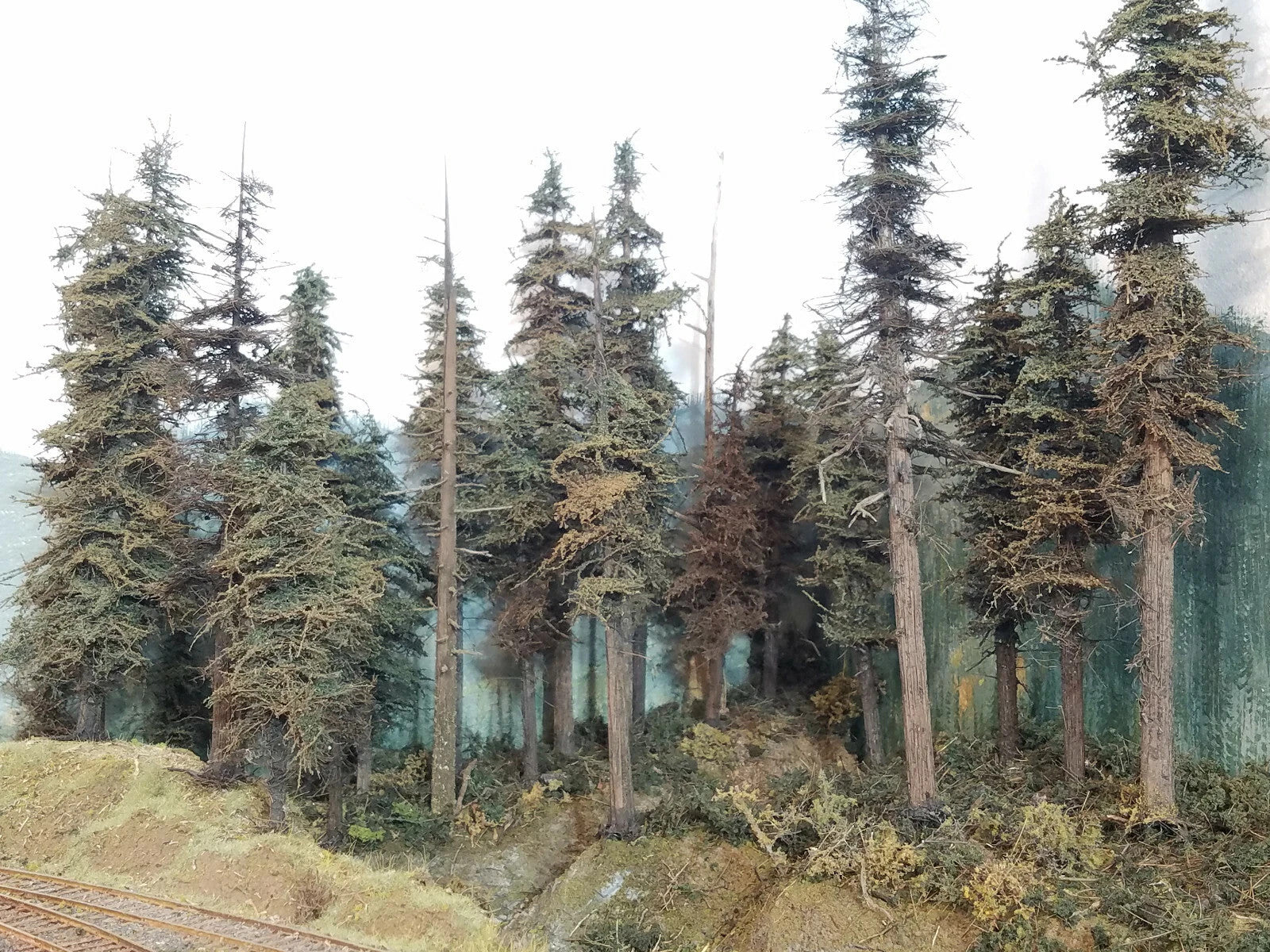 One tall 11 inch or greater Snag dead ghost tree on Roger's POTB layout circa 2020. 