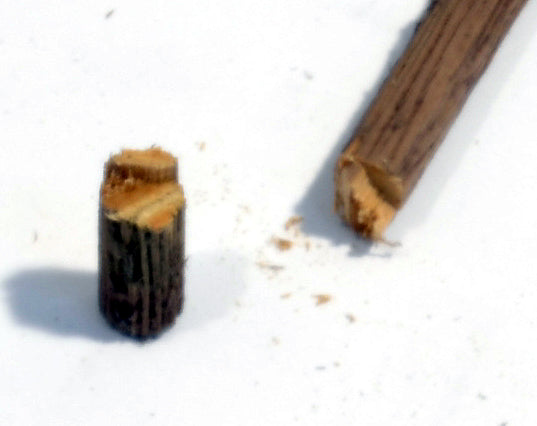 HO scale logs 3/8ths diameter made by Coastman's Scenic Products included in Variety Pak Logs showing a fallen or cut log made with a razor saw and inherent internal natural log color. Photo by Roger Rasmussen.