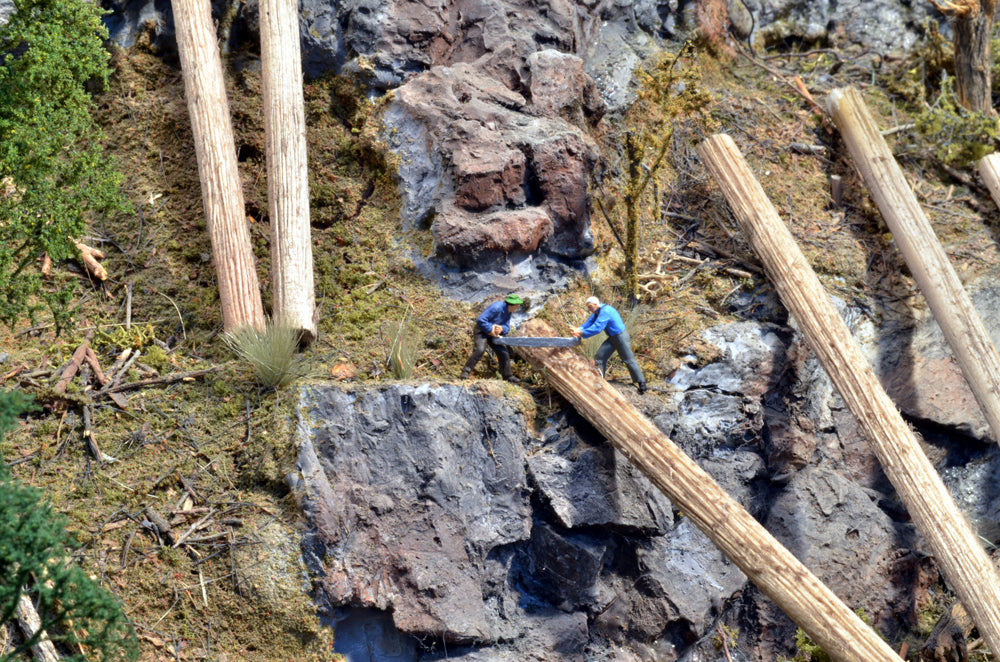 Several HO scale logs 3/8ths diameters made by Coastman's Scenic Products included in Variety Pak Logs in a diorama scene showing two loggers cutting on a log using a whipsaw on the edge of a cliff. Photo by Roger Rasmussen.