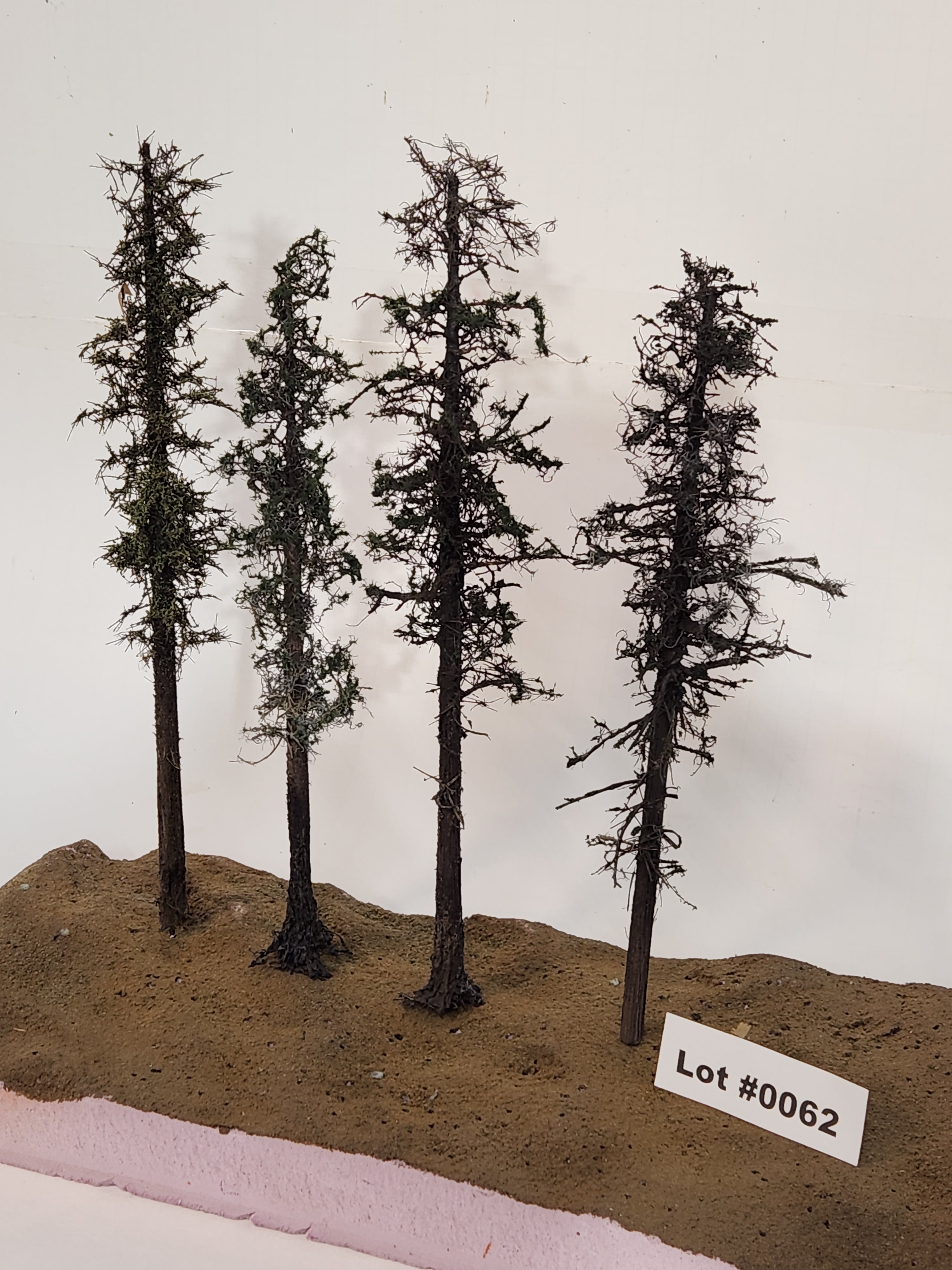 L0062 Pine Trees, Four, 10 to 12 inches