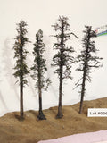 L0062 Pine Trees, Four, 10 to 12 inches