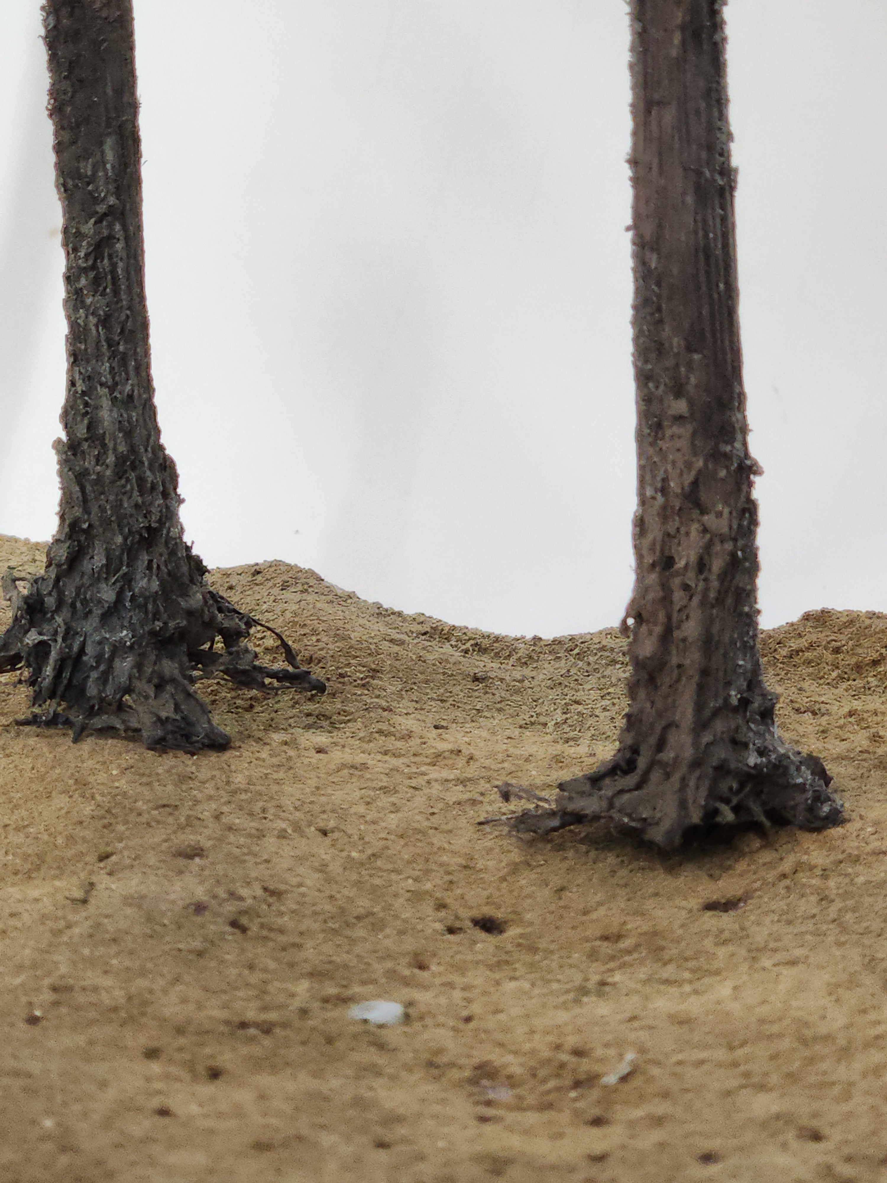 L0062 Pine Trees, Four, 10 to 12 inches