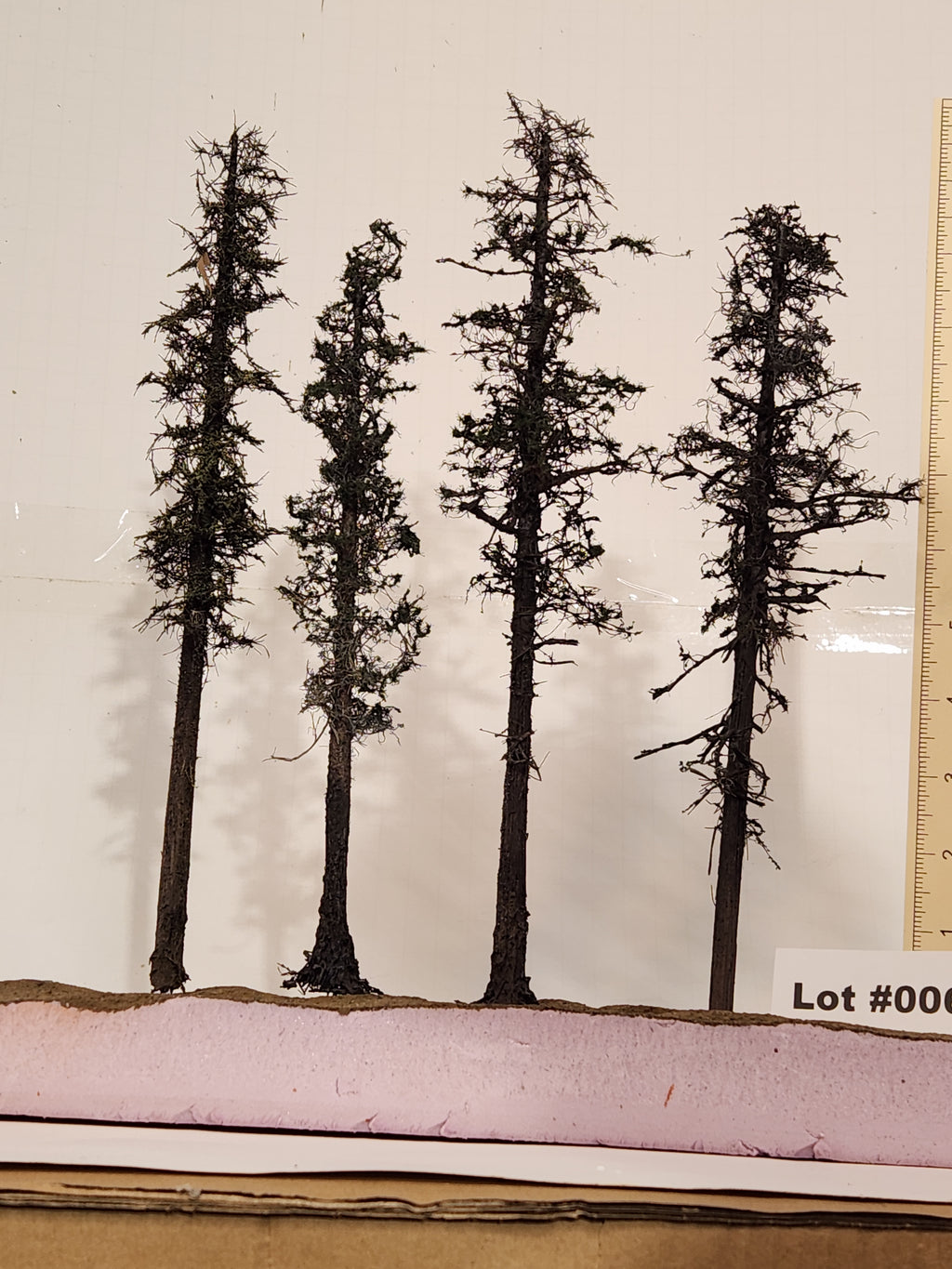 L0062 Pine Trees, Four, 10 to 12 inches