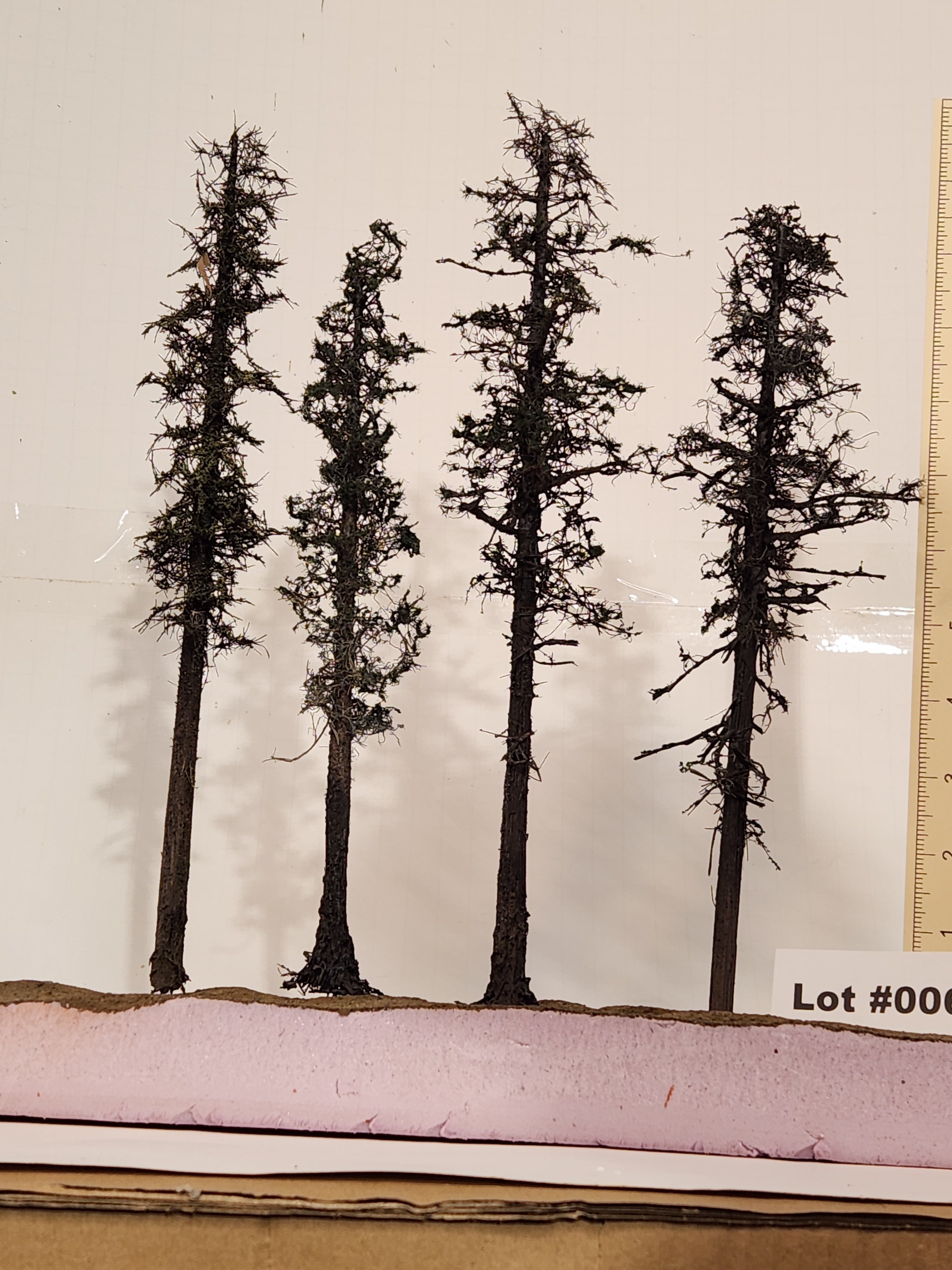 L0062 Pine Trees, Four, 10 to 12 inches