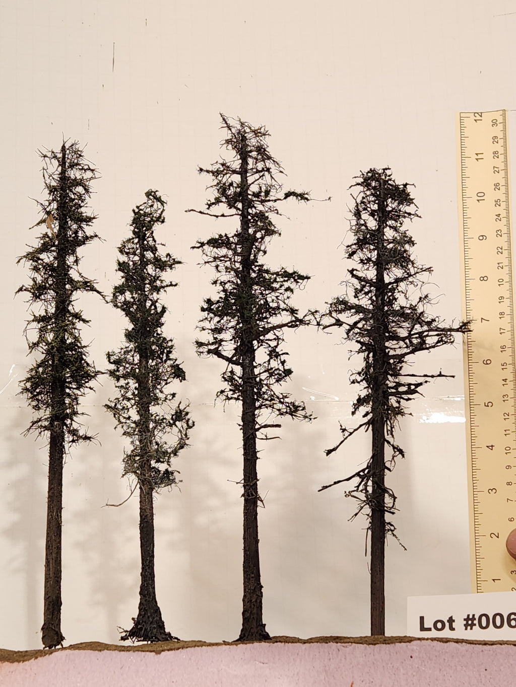 L0062 Pine Trees, Four, 10 to 12 inches