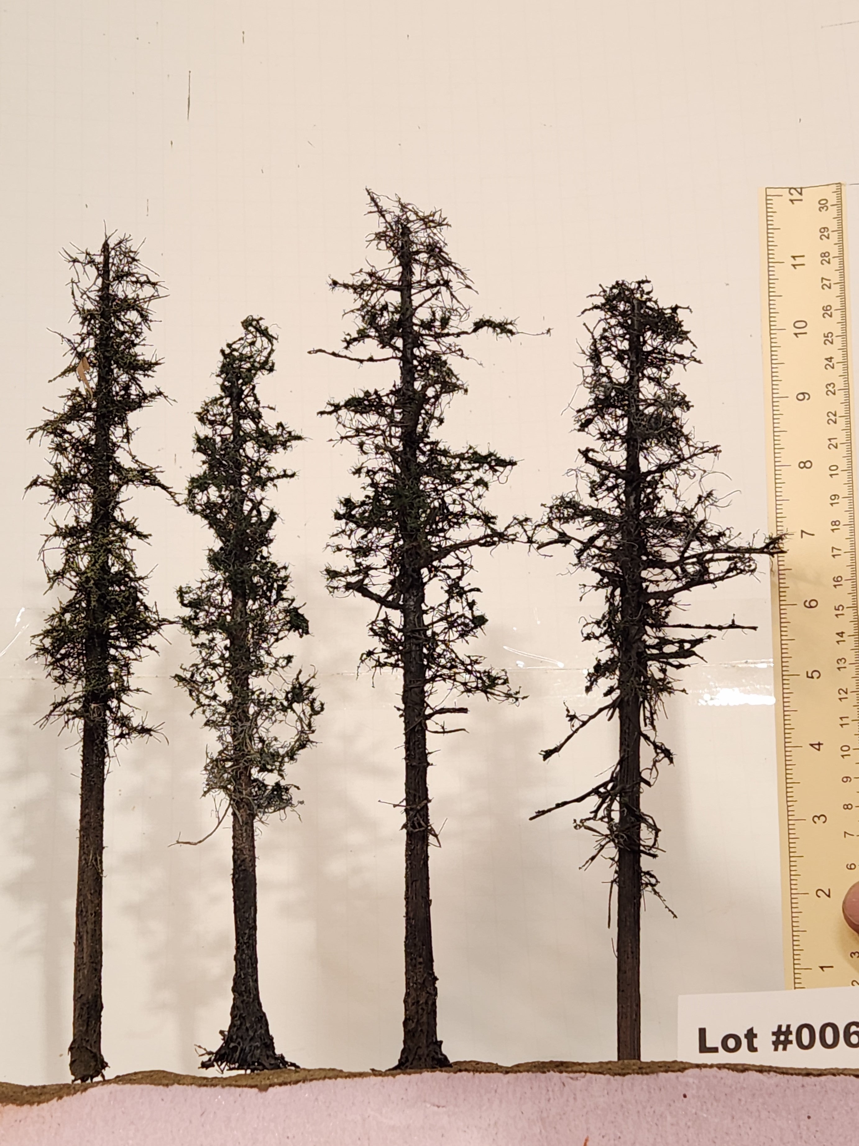 L0062 Pine Trees, Four, 10 to 12 inches