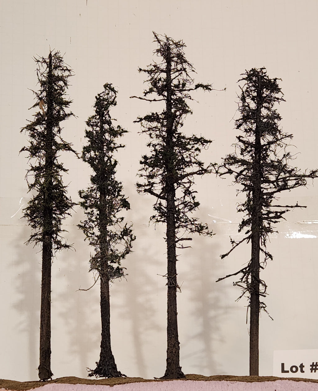 L0062 Pine Trees, Four, 10 to 12 inches