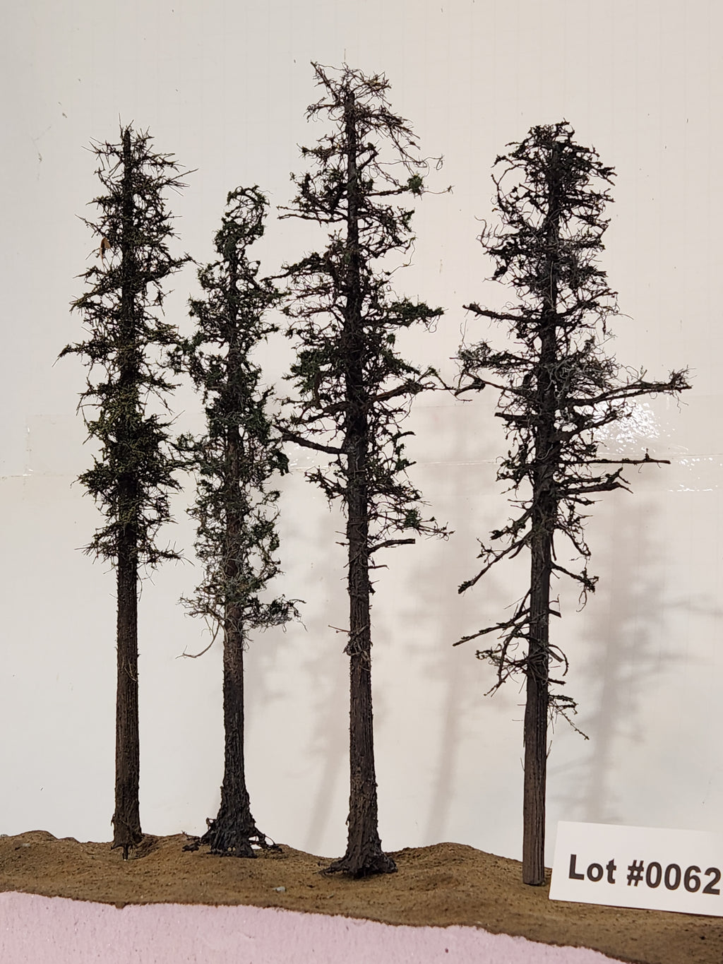 L0062 Pine Trees, Four, 10 to 12 inches