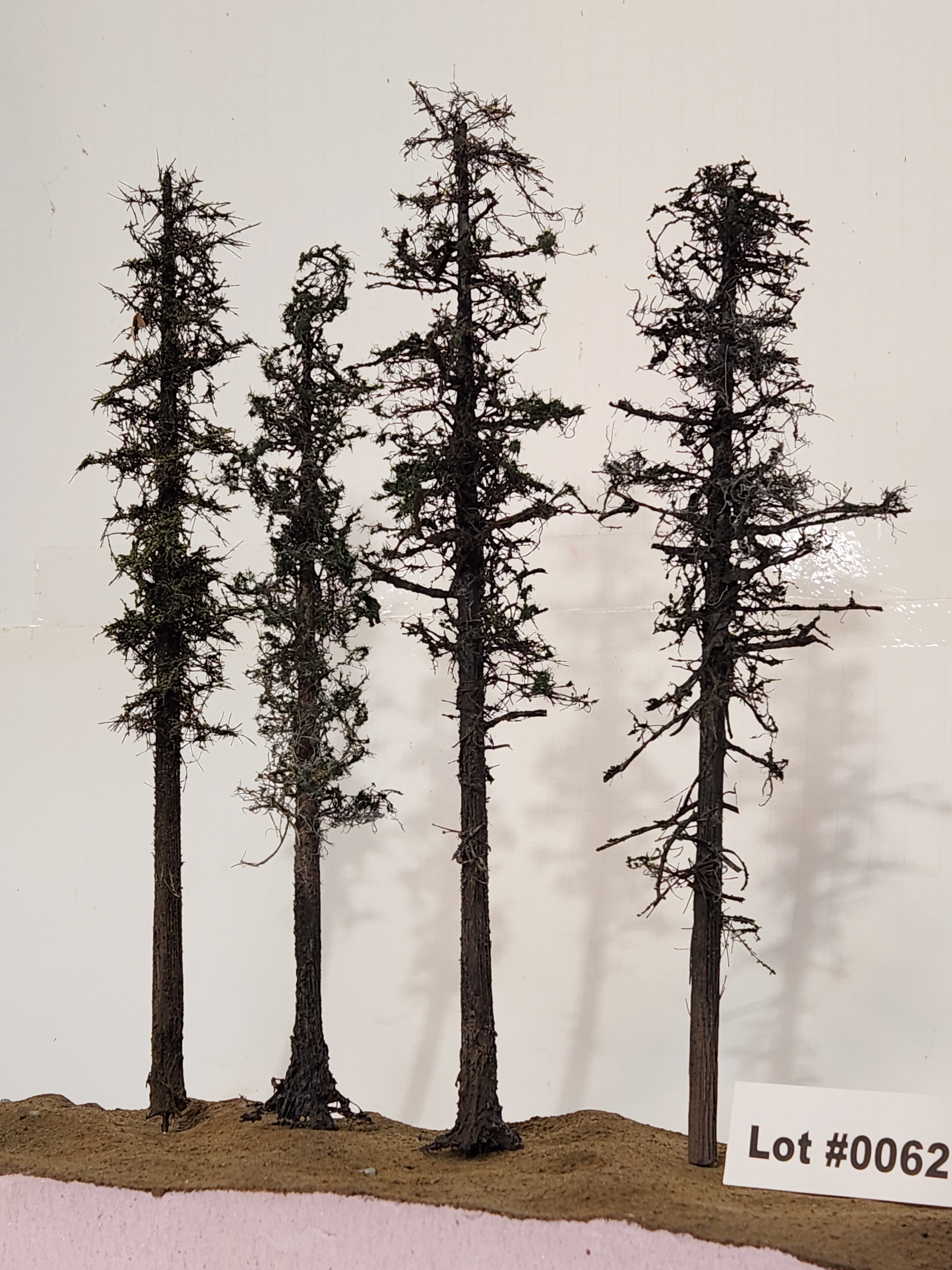 L0062 Pine Trees, Four, 10 to 12 inches