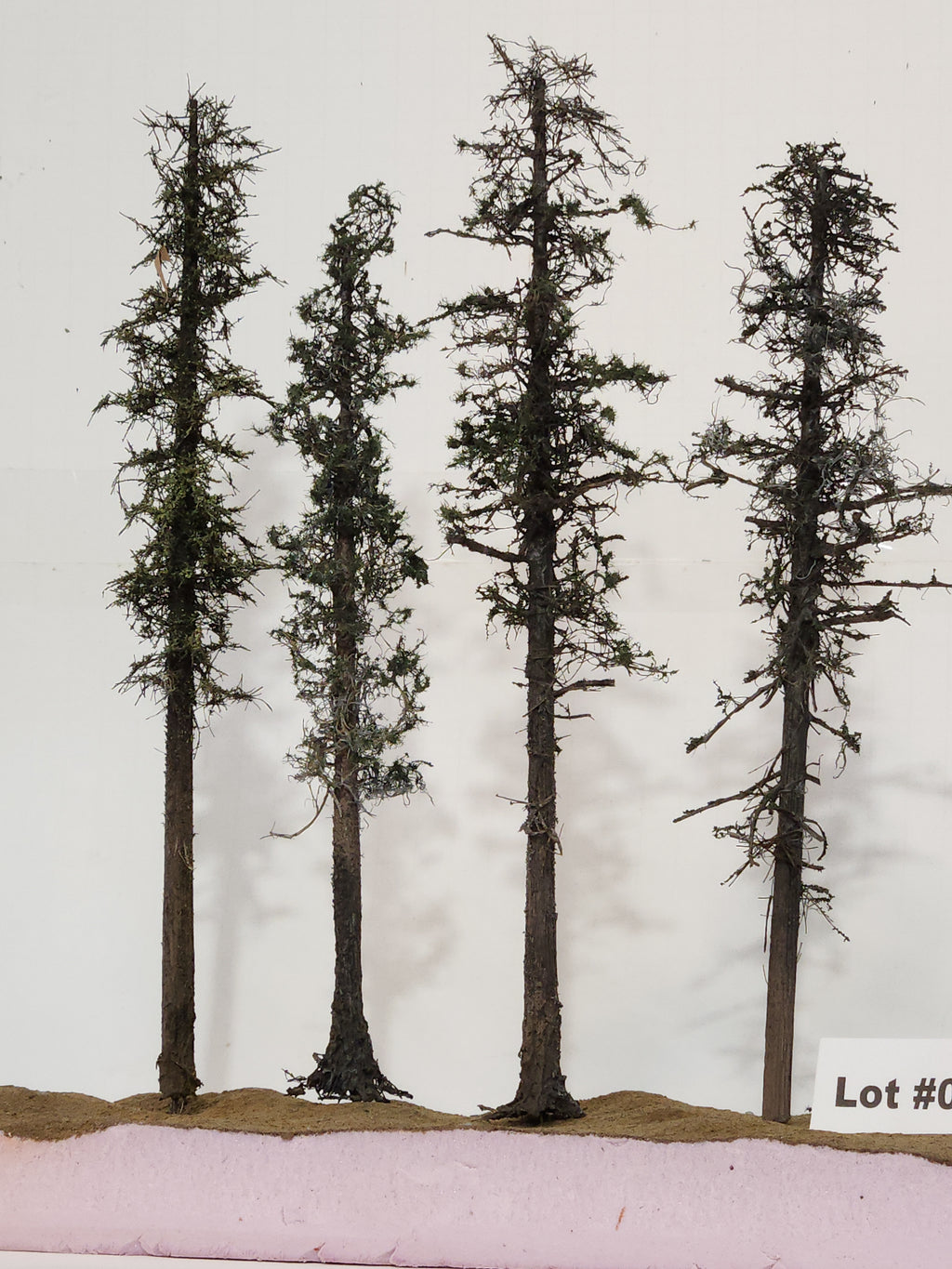 L0062 Pine Trees, Four, 10 to 12 inches