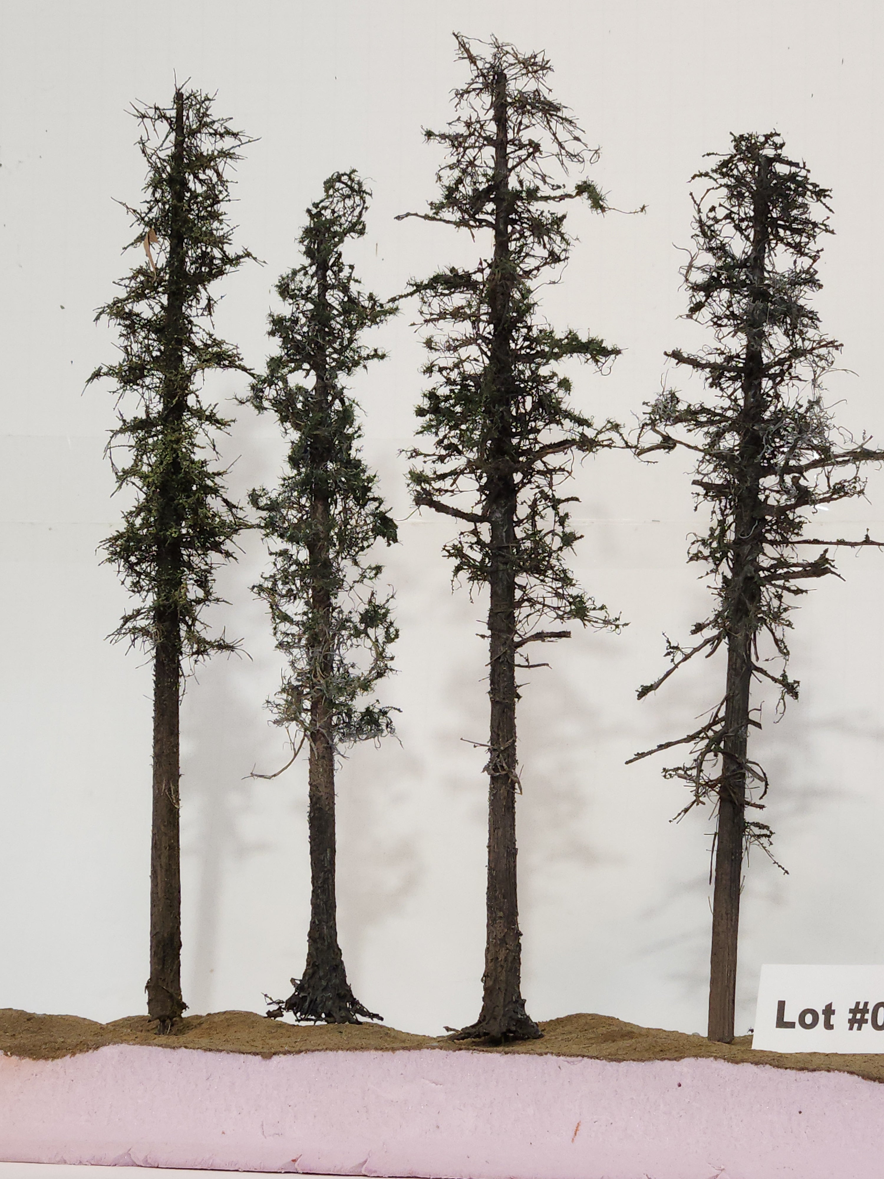 L0062 Pine Trees, Four, 10 to 12 inches