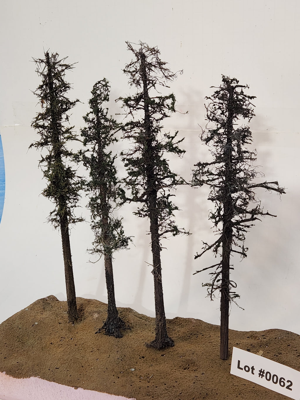 L0062 Pine Trees, Four, 10 to 12 inches