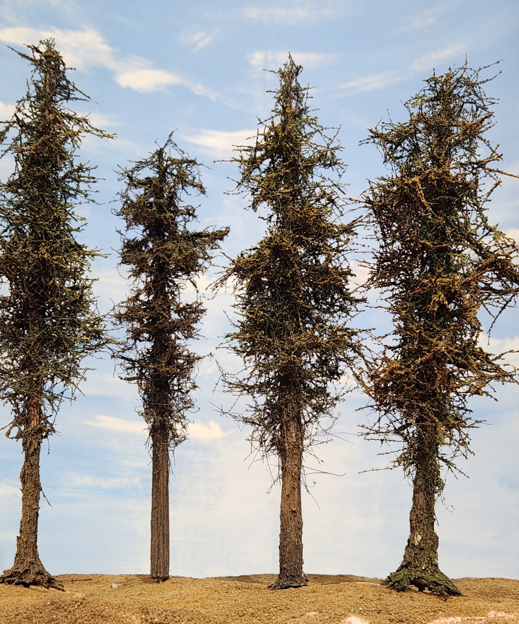 L0066 Pine Trees, Five, 7 to 9 inches