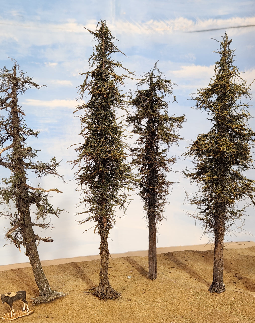 L0066 Pine Trees, Five, 7 to 9 inches