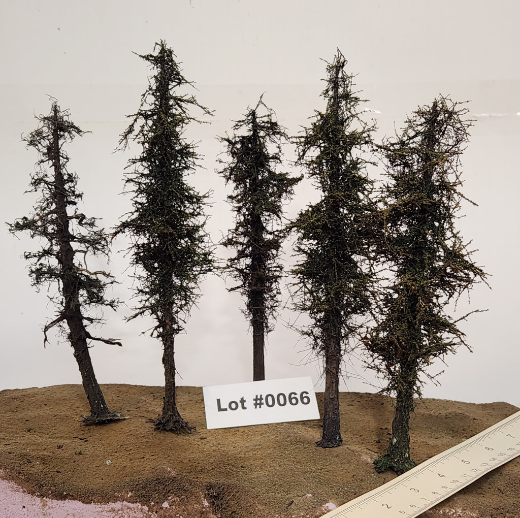 L0066 Pine Trees, Five, 7 to 9 inches