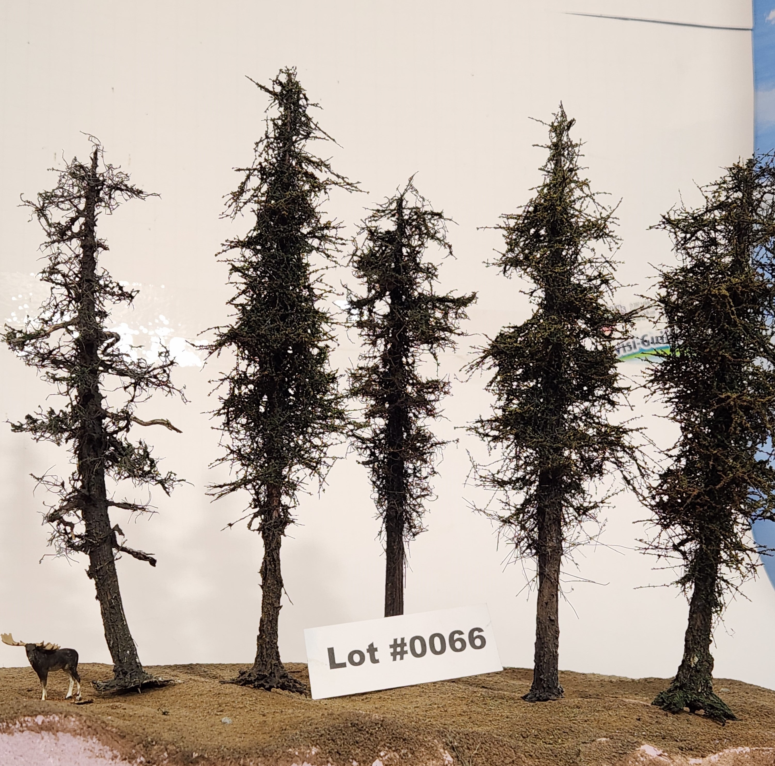 L0066 Pine Trees, Five, 7 to 9 inches