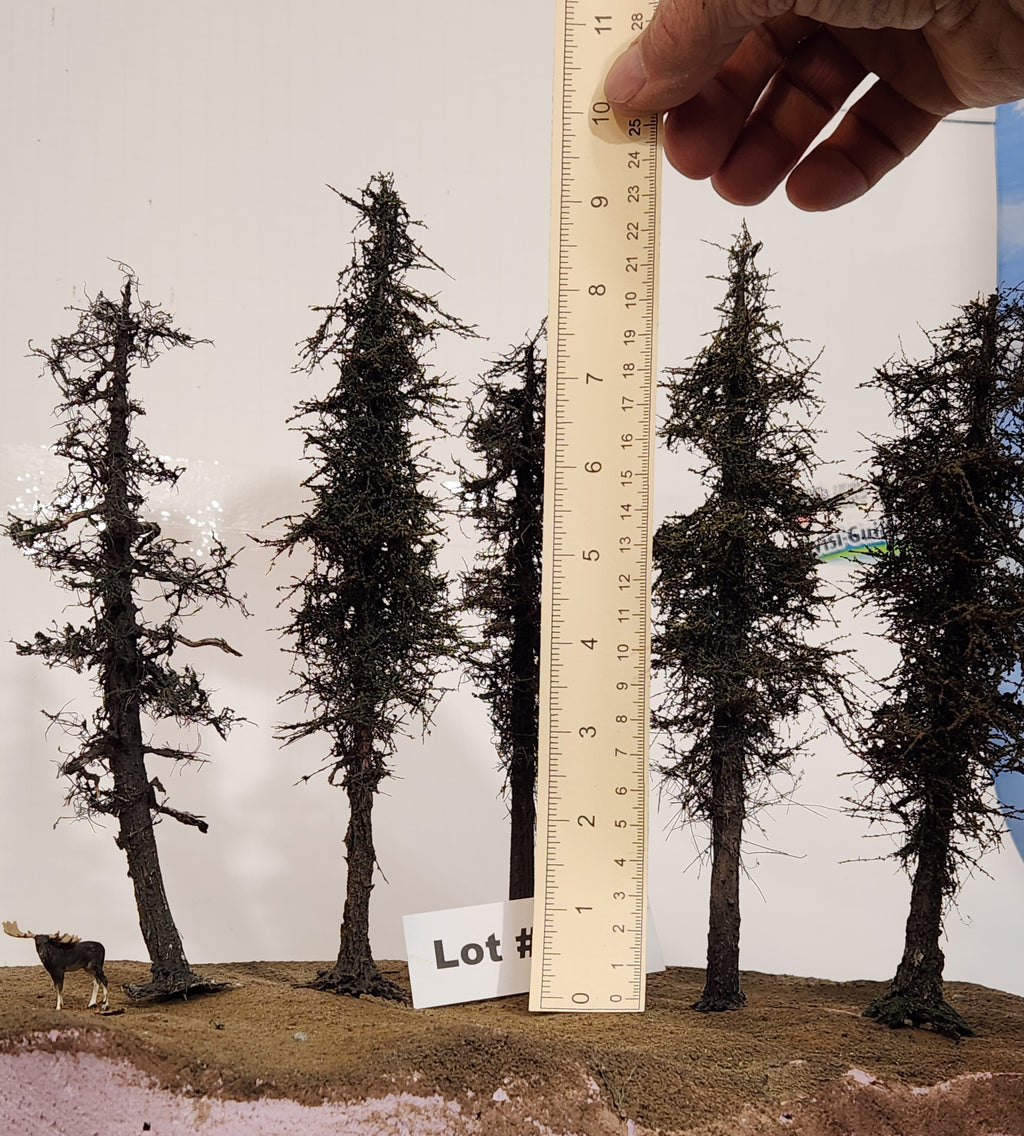 L0066 Pine Trees, Five, 7 to 9 inches