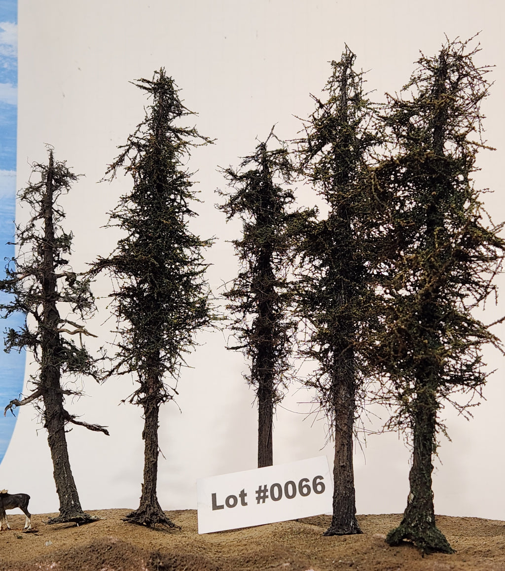 L0066 Pine Trees, Five, 7 to 9 inches