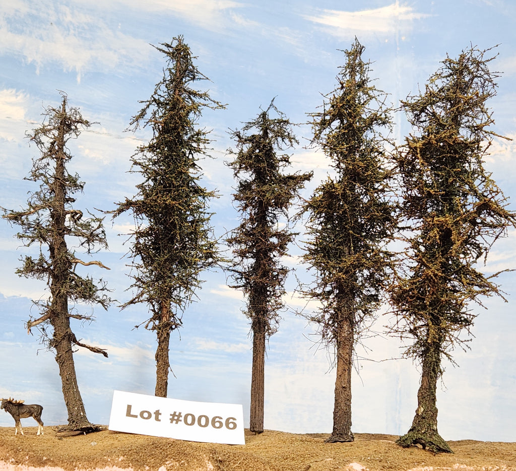 L0066 Pine Trees, Five, 7 to 9 inches
